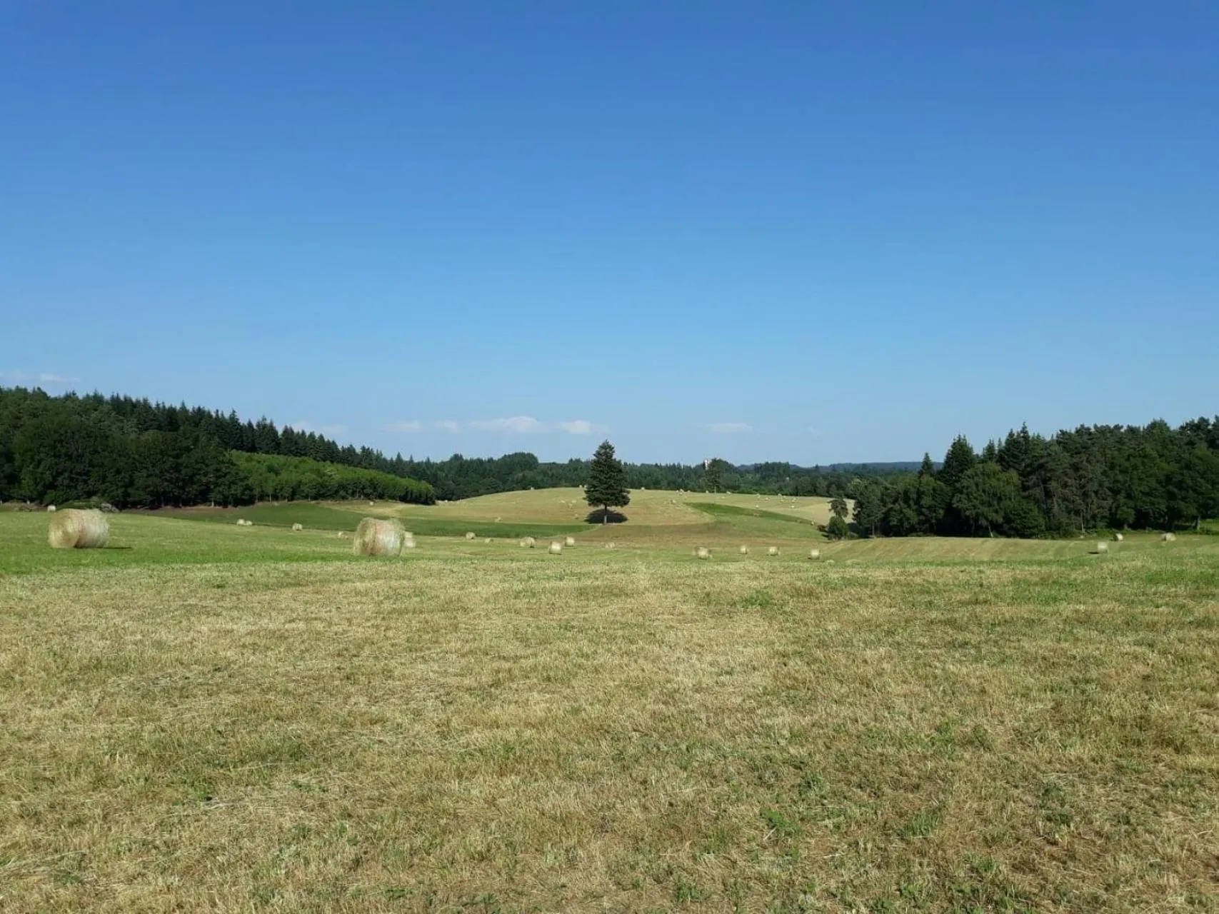 Natural landscape in Le Parc des 4 Saisons