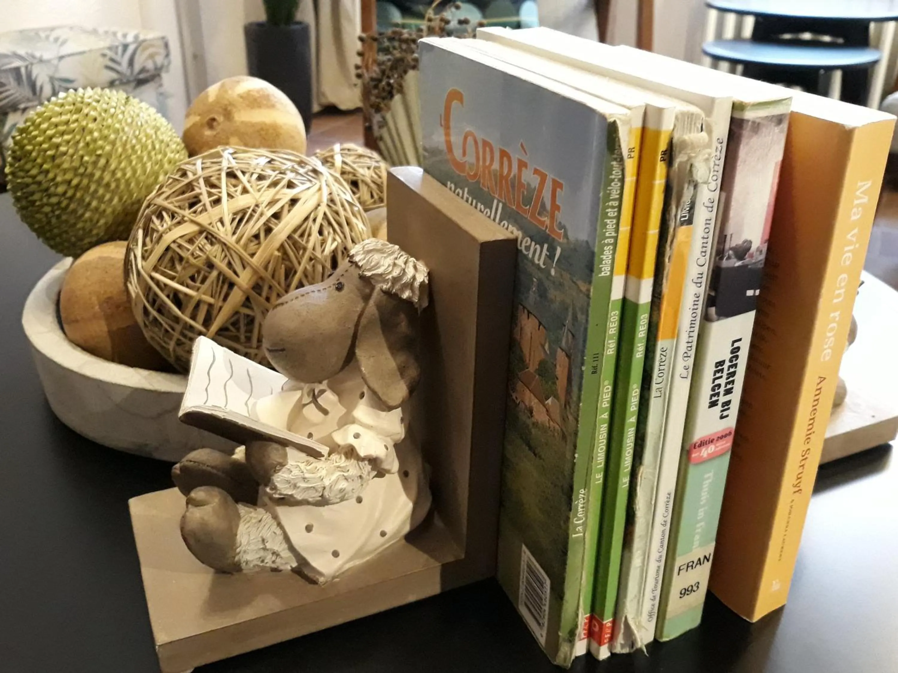 Communal lounge/ TV room in Le Parc des 4 Saisons