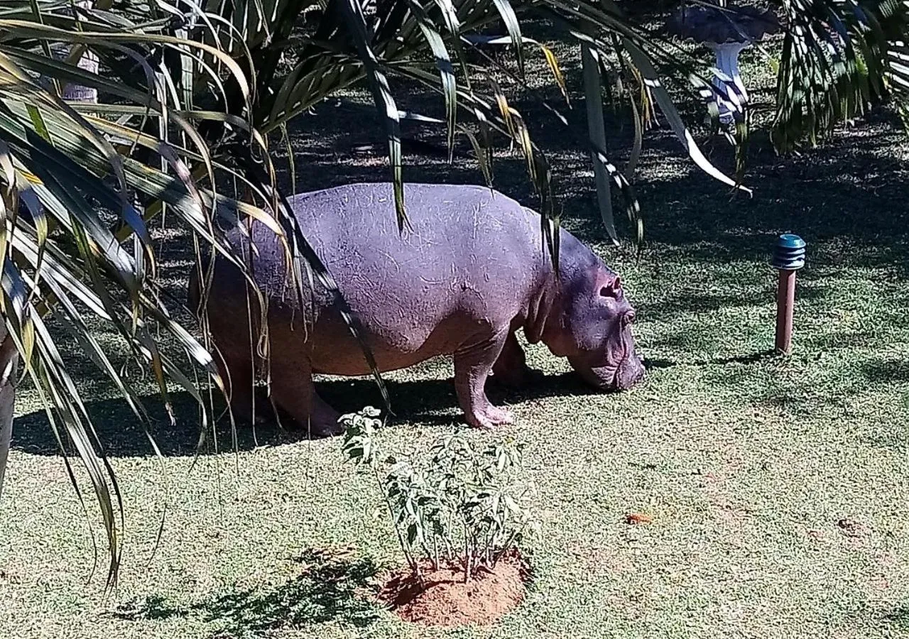 Garden in Elephant Lake Hotel