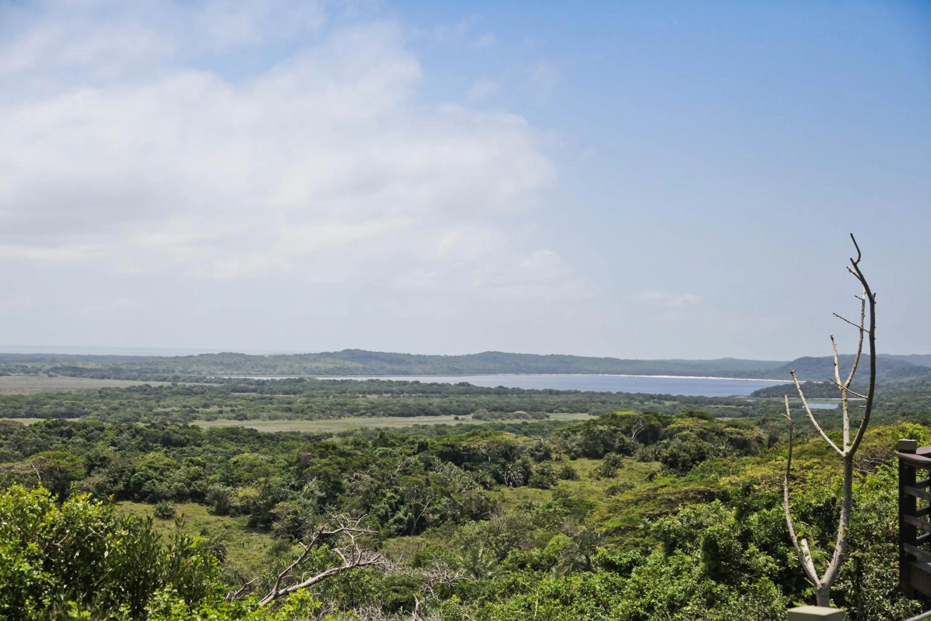 Natural landscape in Elephant Lake Hotel
