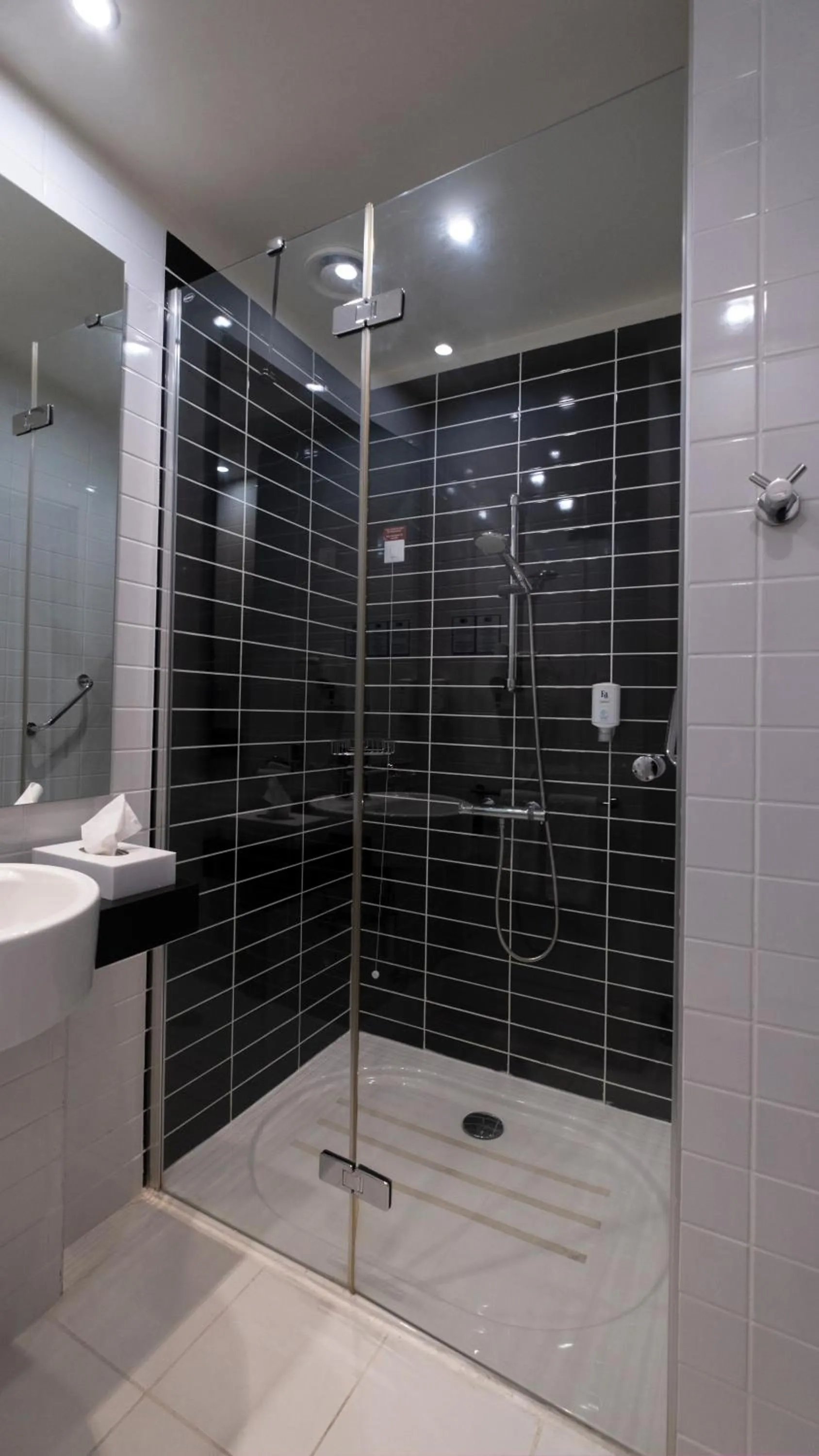 Shower in FEZ INN Hotel