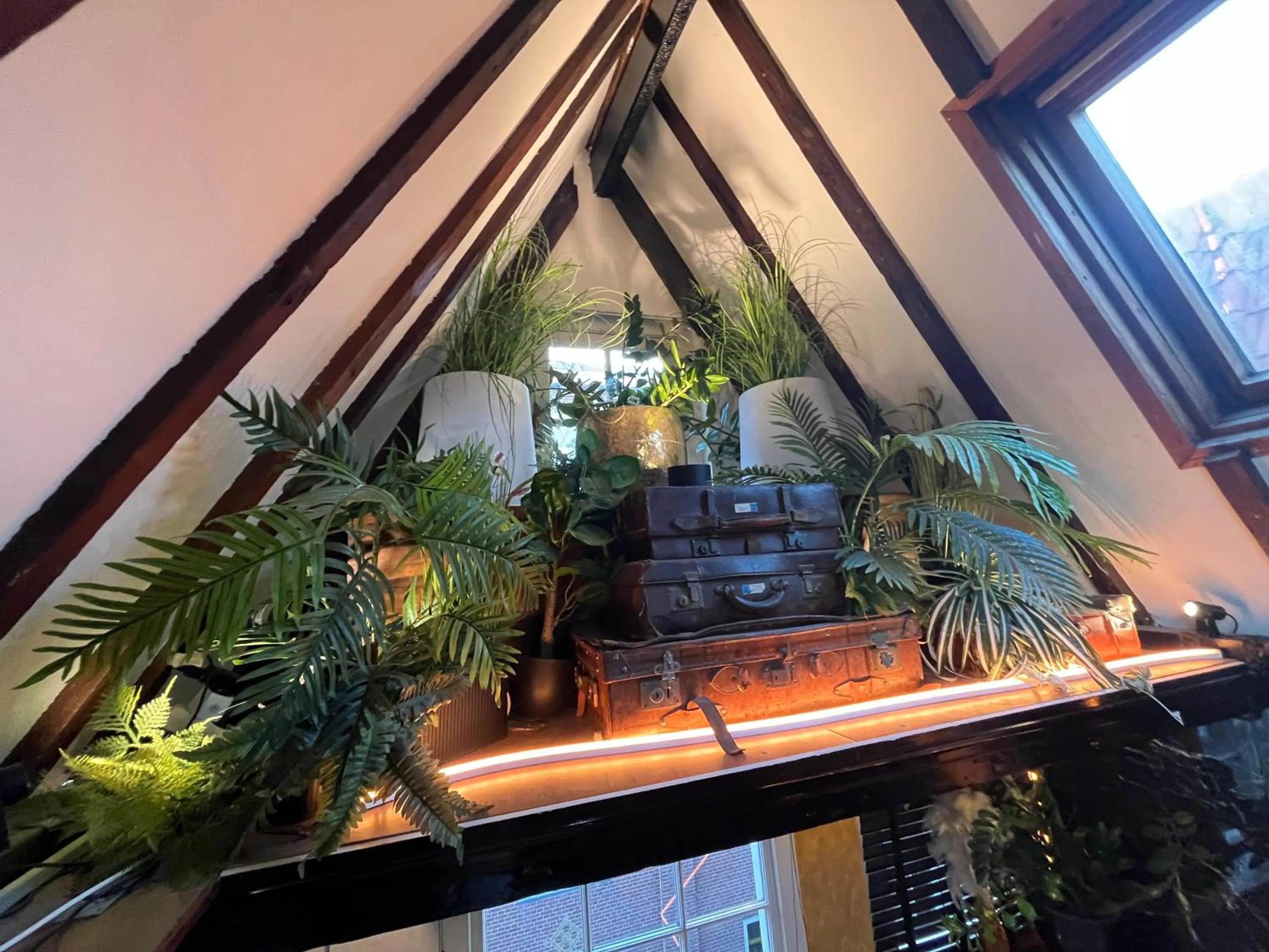 Shower in The Enlightened House Luxury Suites