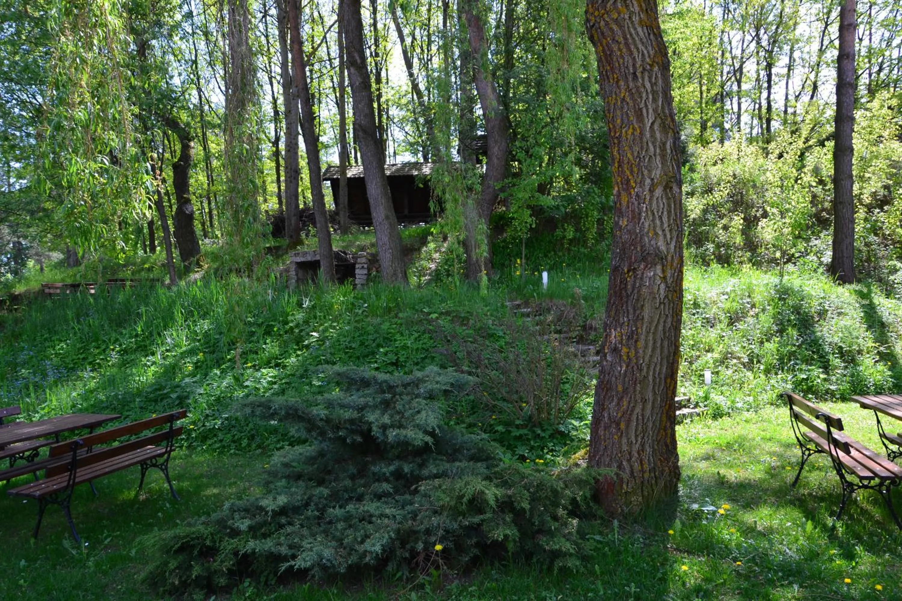 Natural landscape in Gościniec Yaga