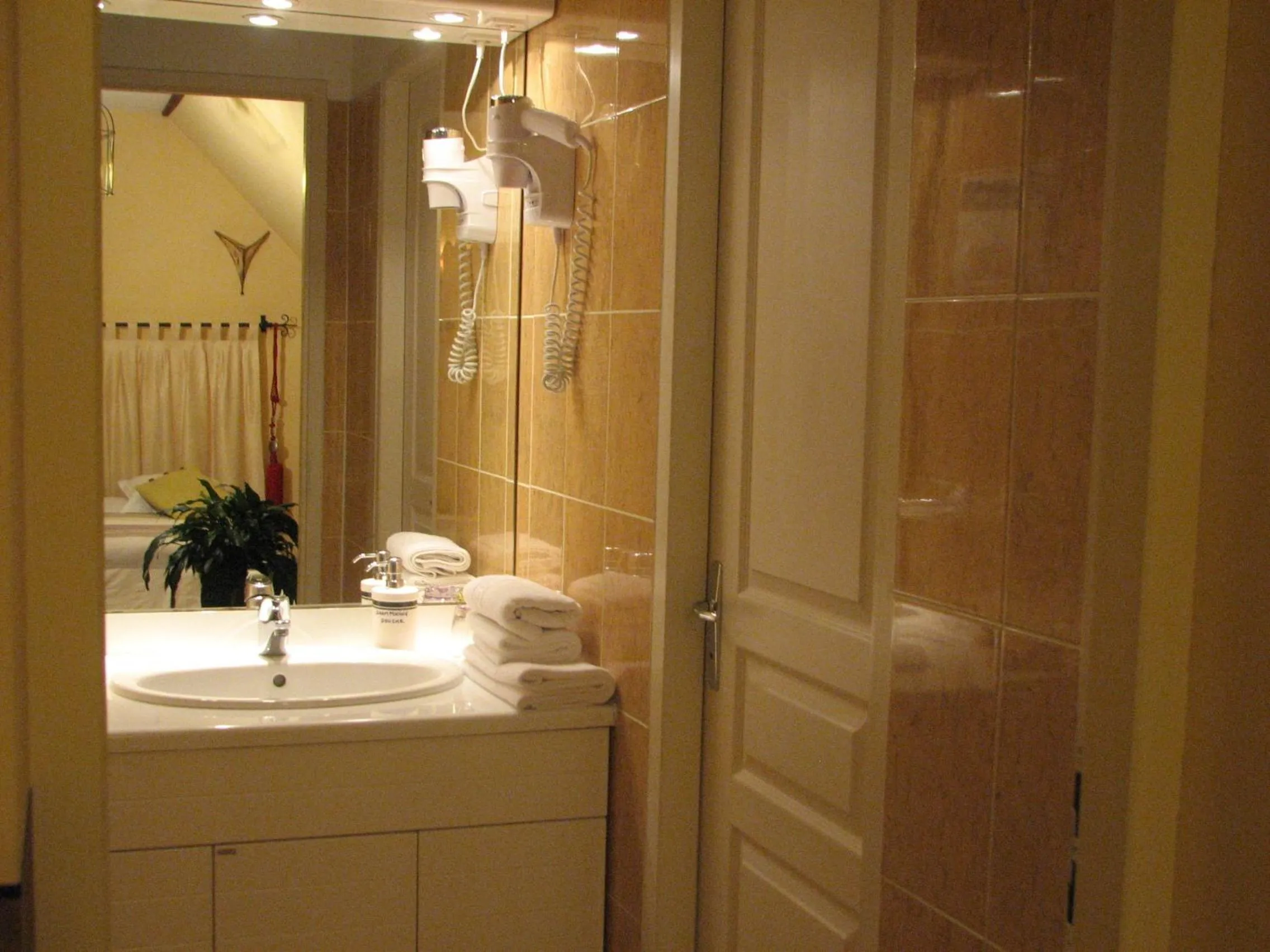 Bathroom in Le Pas de L'Ane Chambres d'hôtes