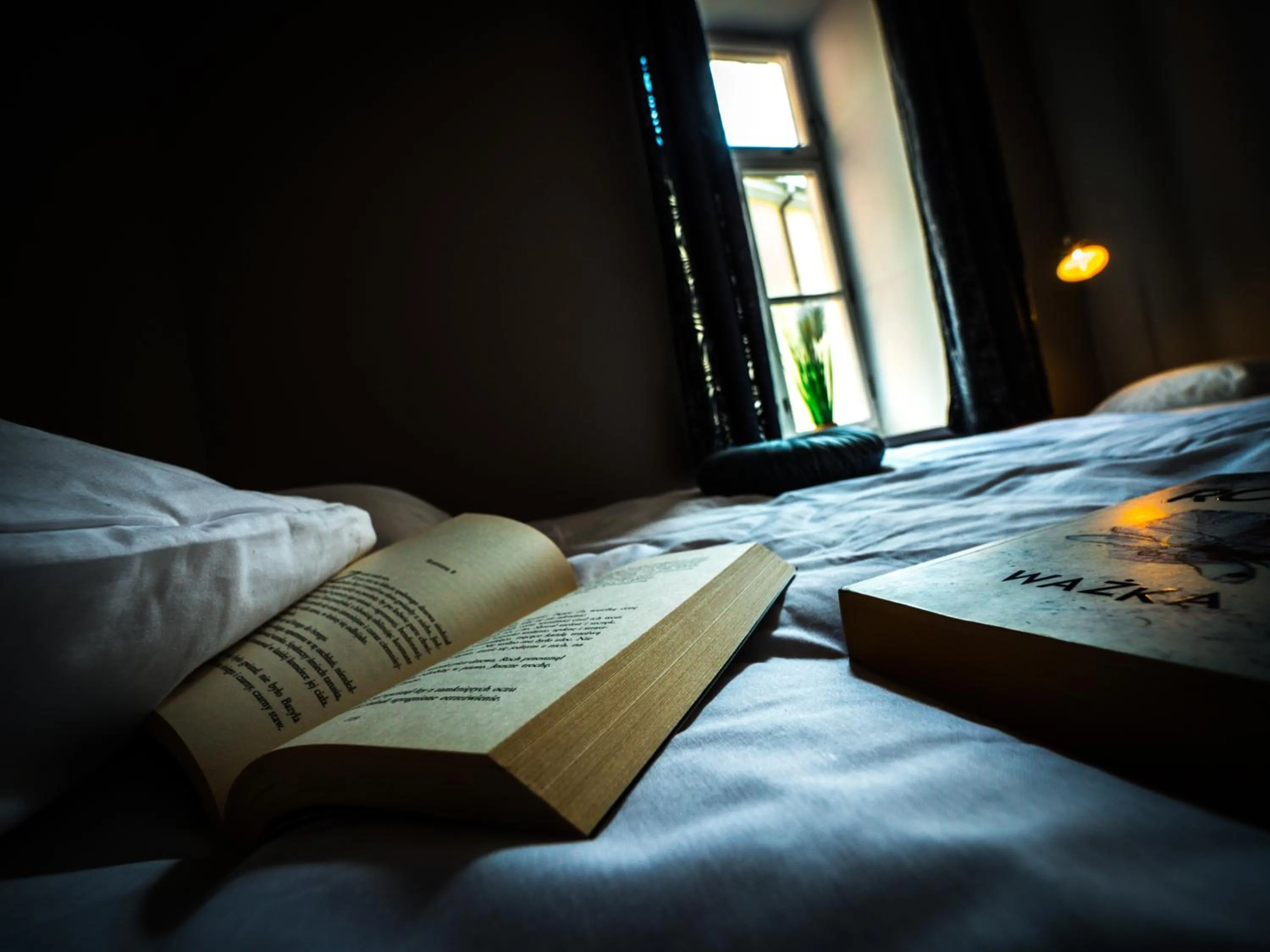 Bed in Hostel Pod Basztą