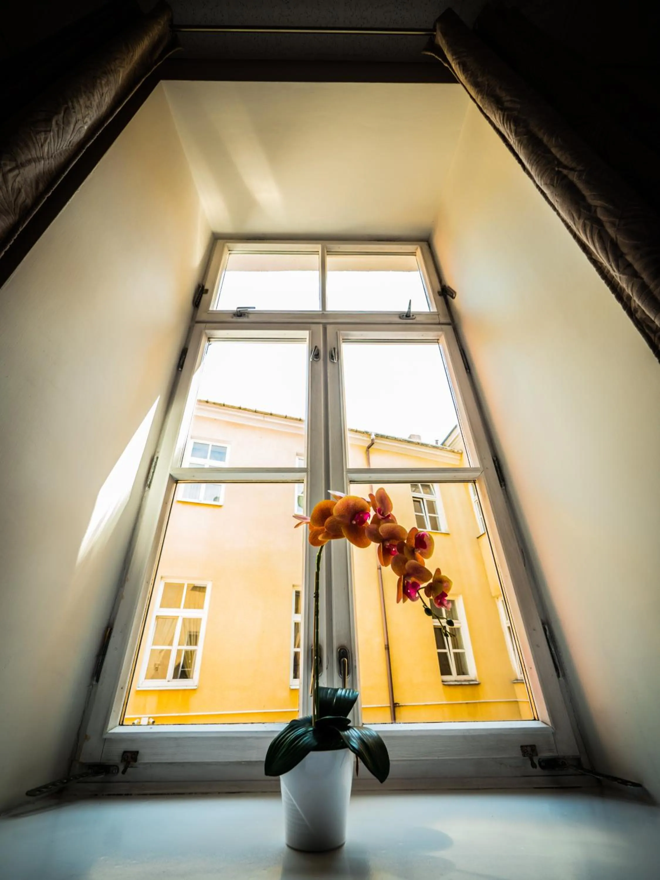 Hostel Pod Basztą