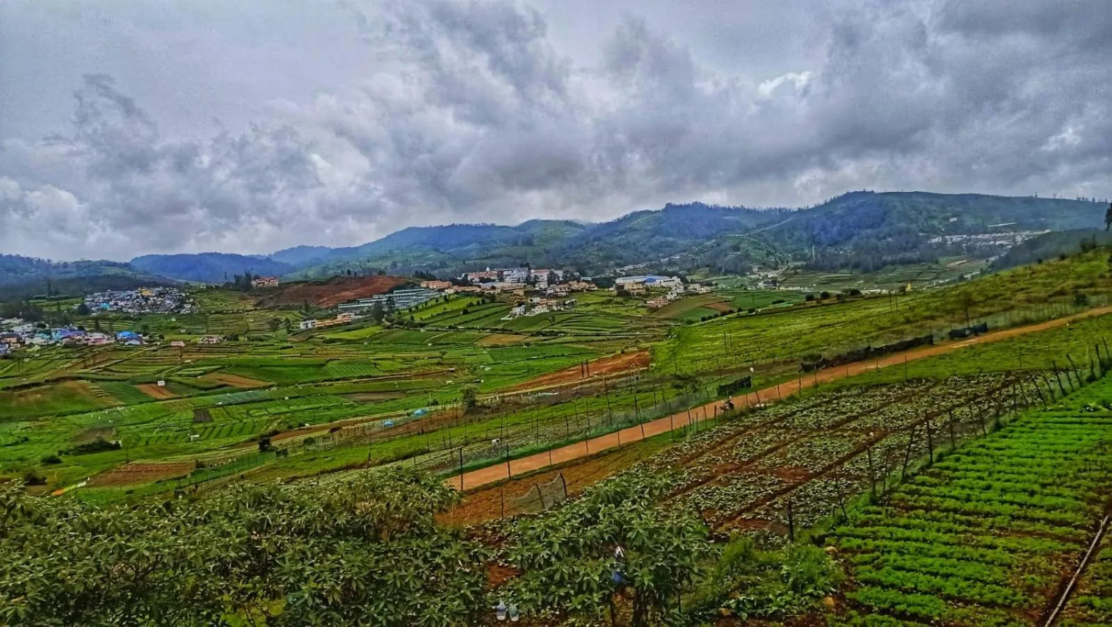 Britiish county Green home resorts ooty