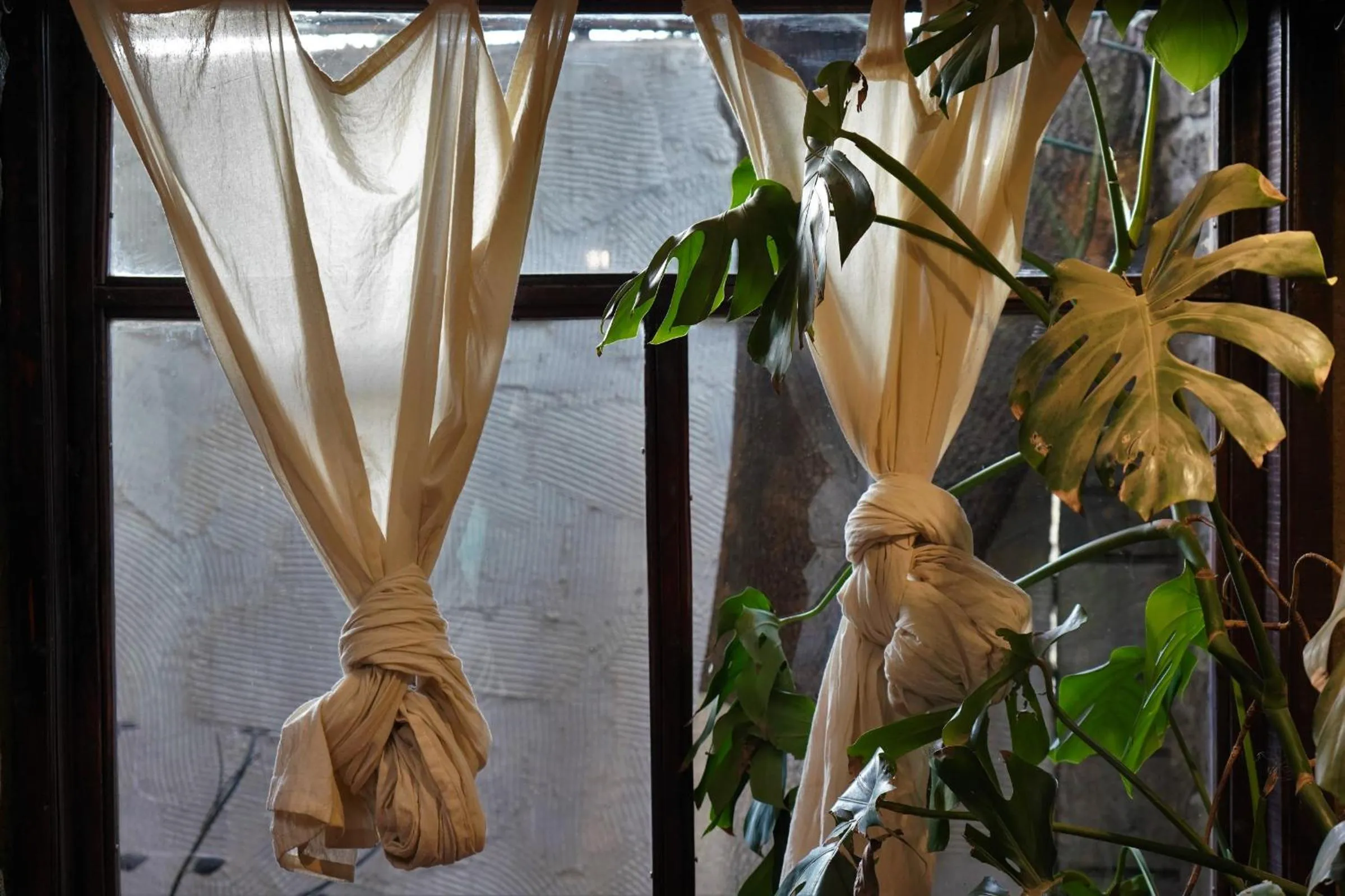 View (from property/room) in Tryst Boutique Hotel