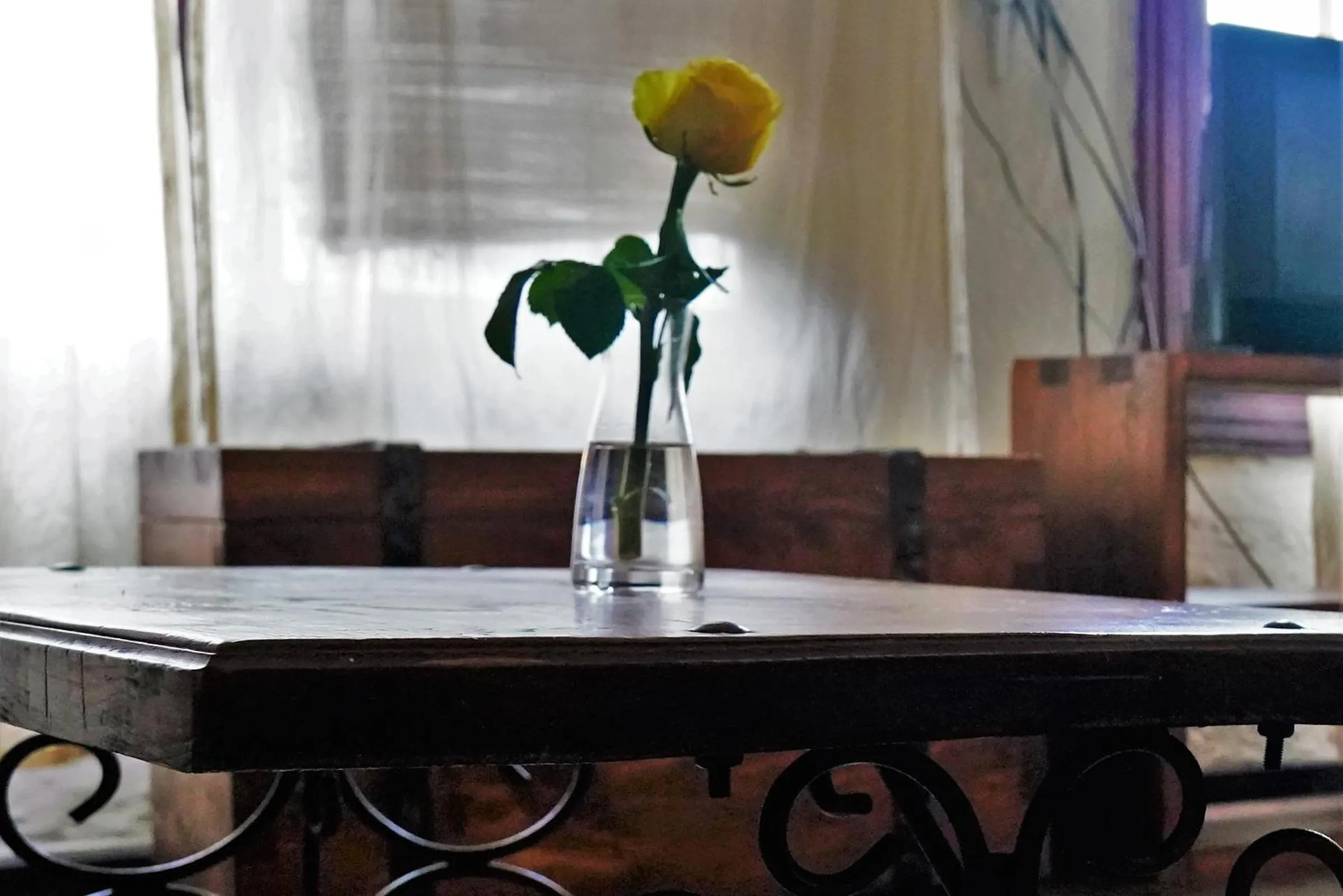 Living room in Tryst Boutique Hotel