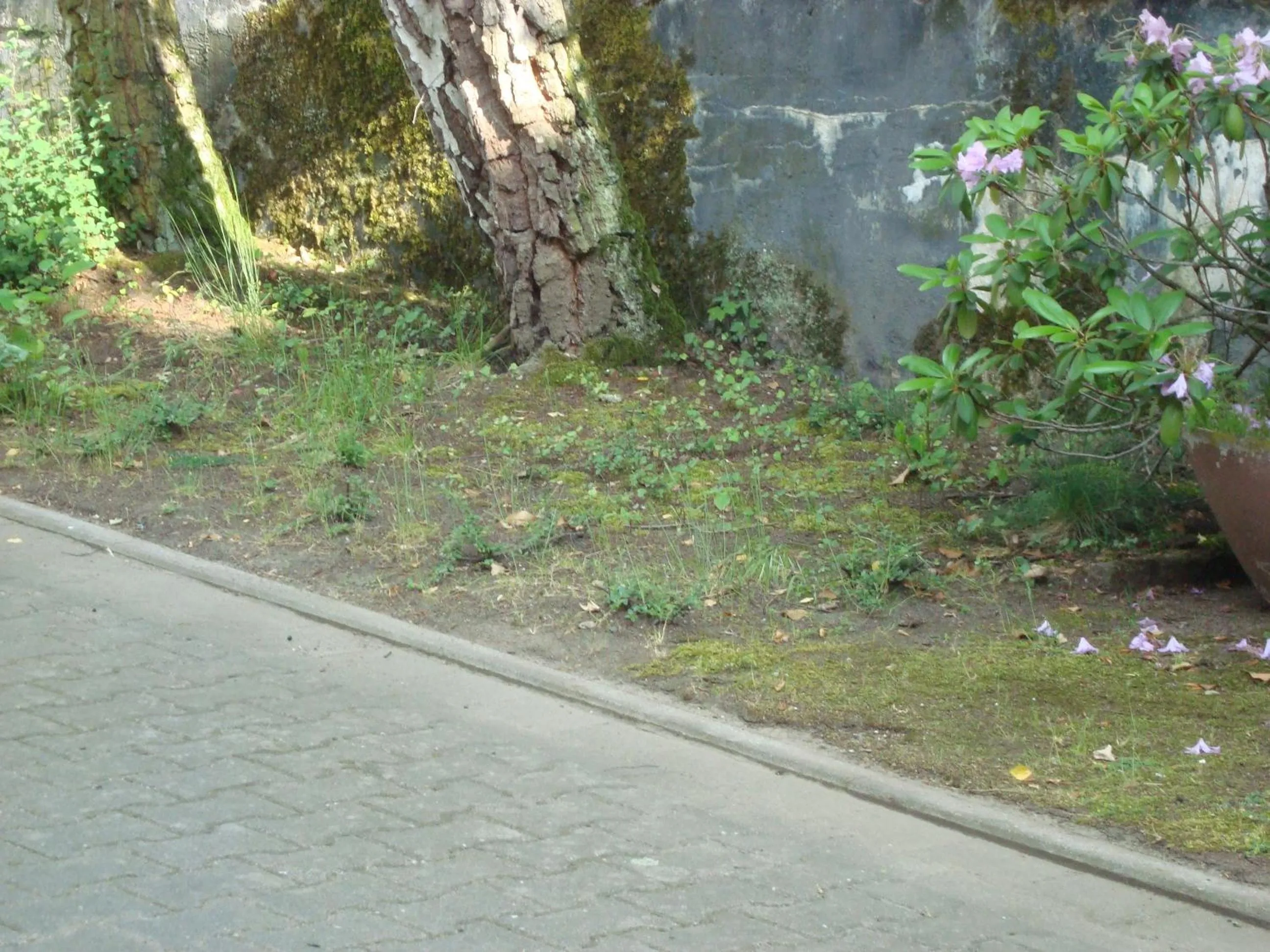 Garden in Hotel Gartenhof