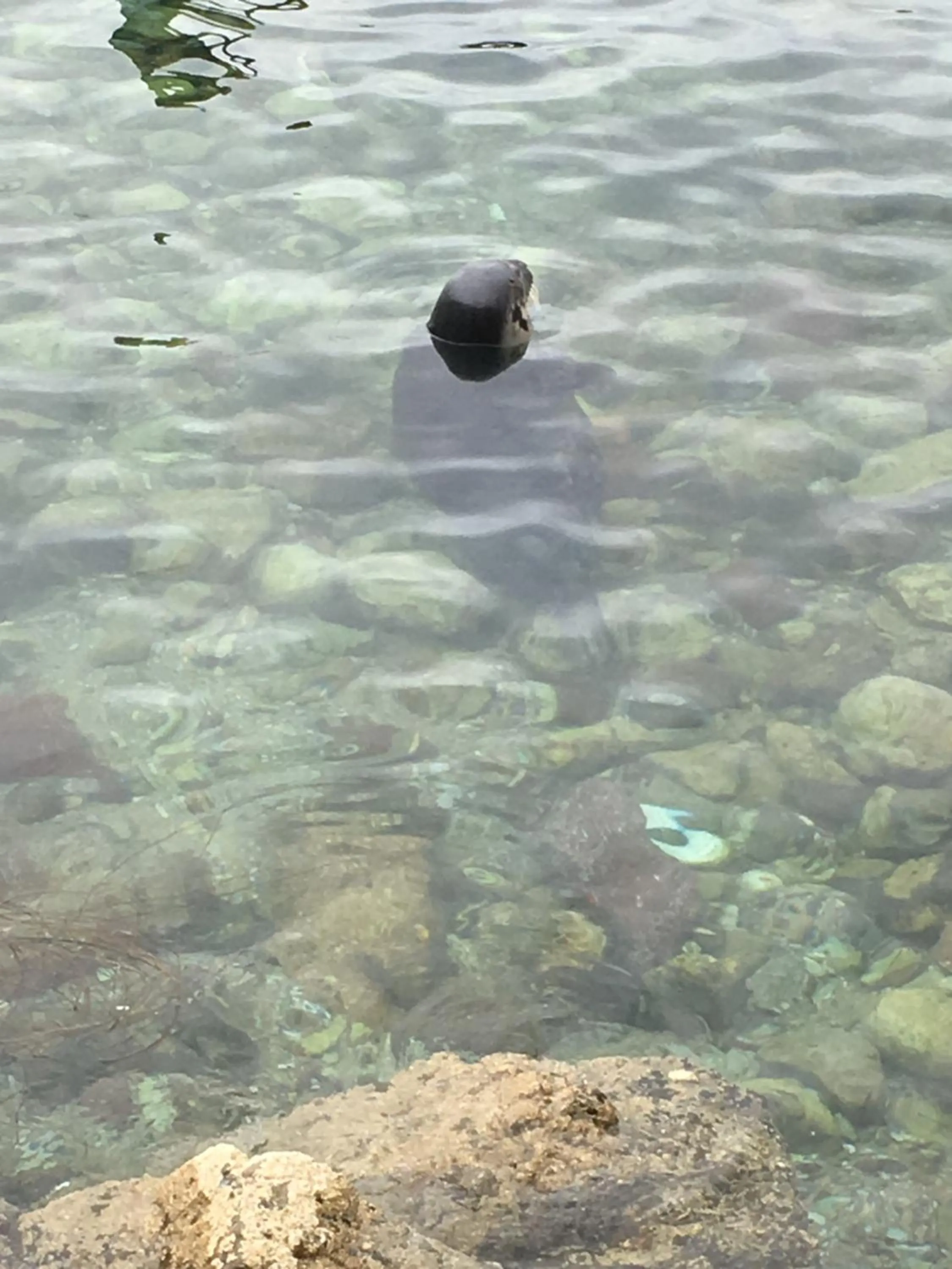 Spring in Newburgh Guesthouse