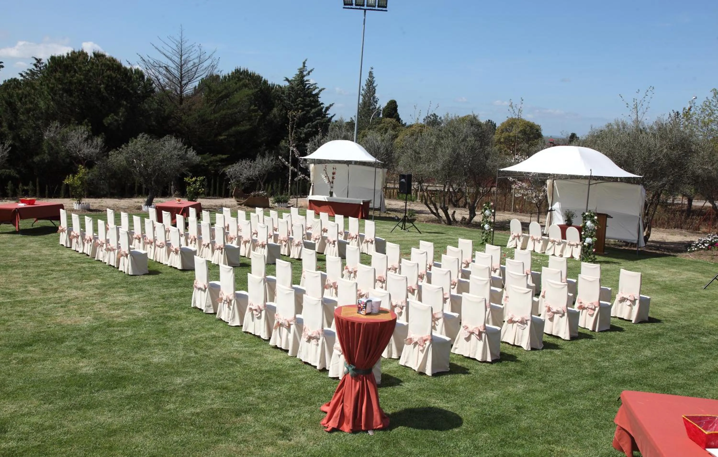 Garden in Hotel San Cristobal