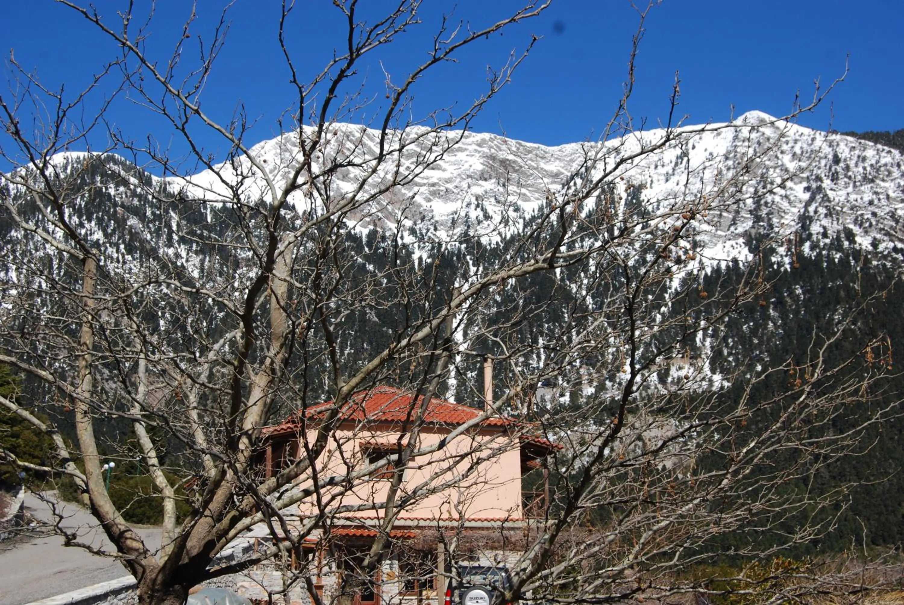 Other in Dryades Guesthouse