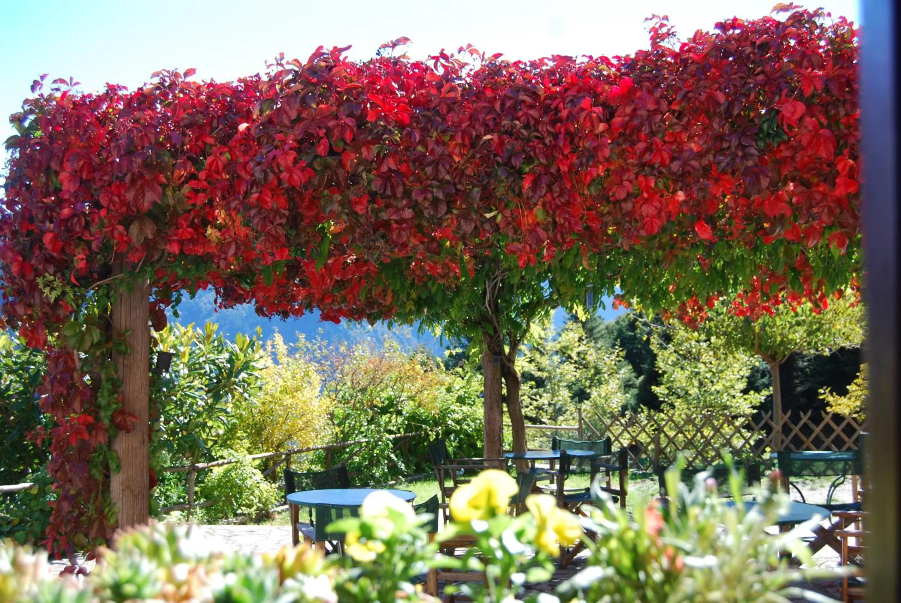 Other in Dryades Guesthouse