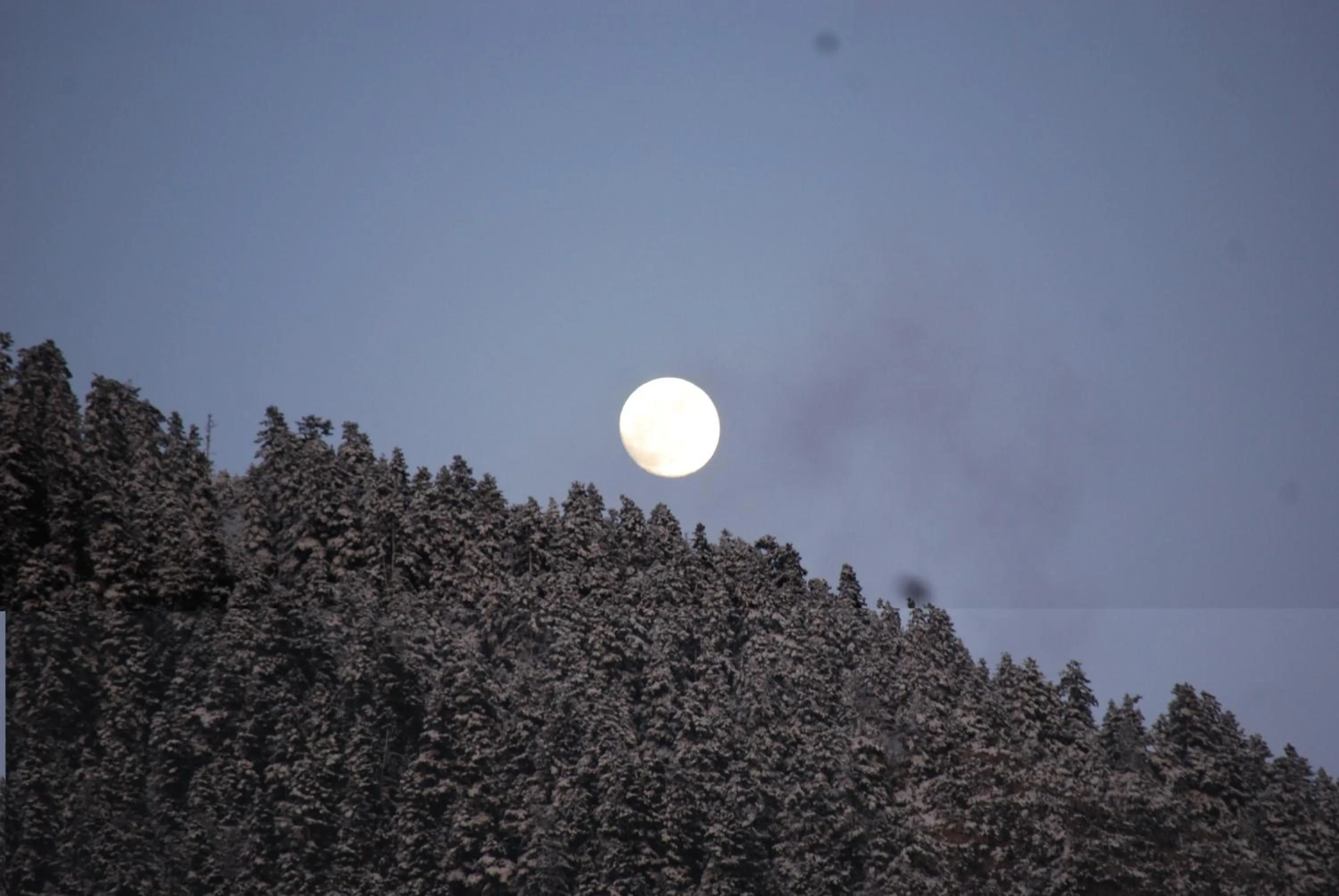 View (from property/room) in Dryades Guesthouse