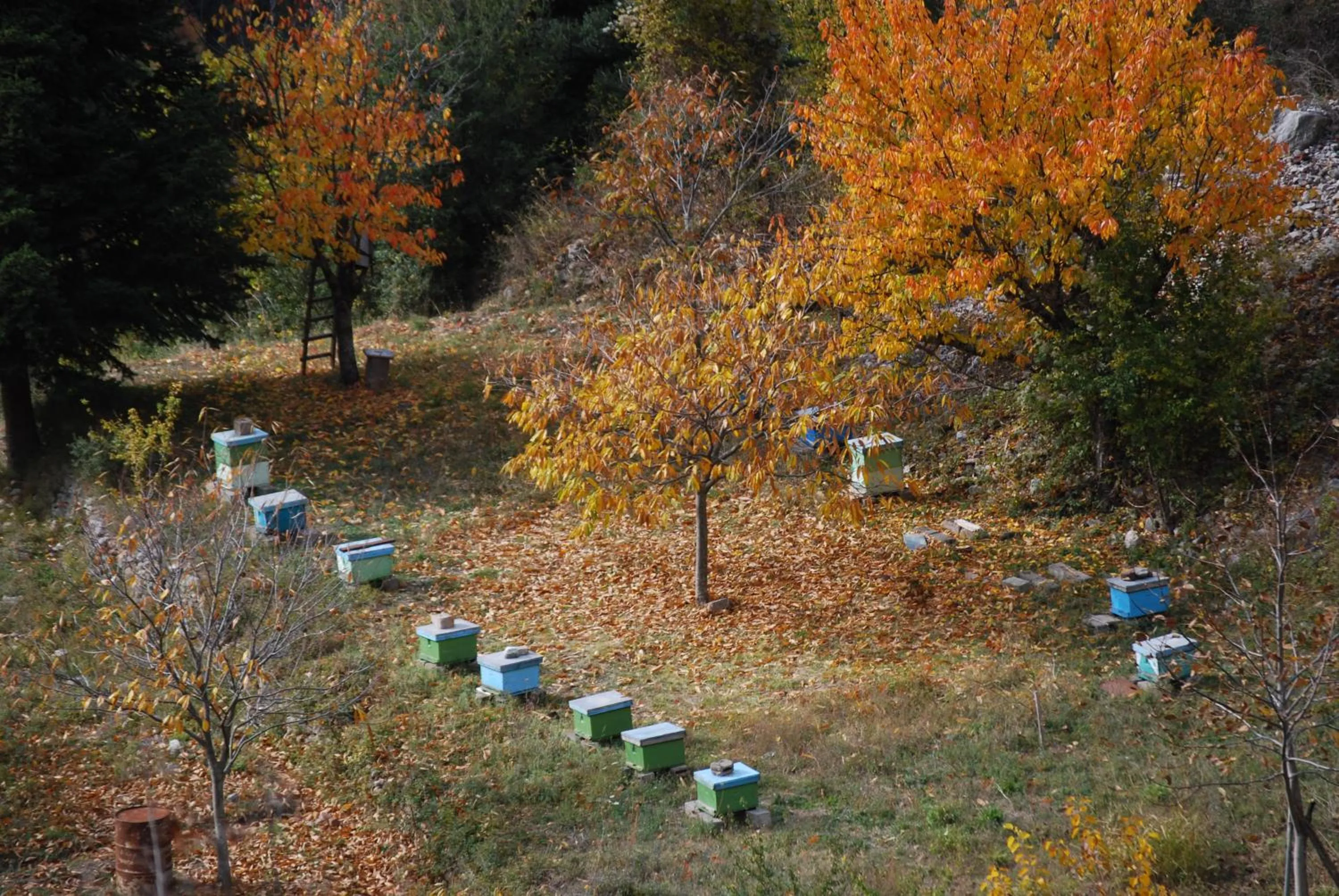 Area and facilities in Dryades Guesthouse