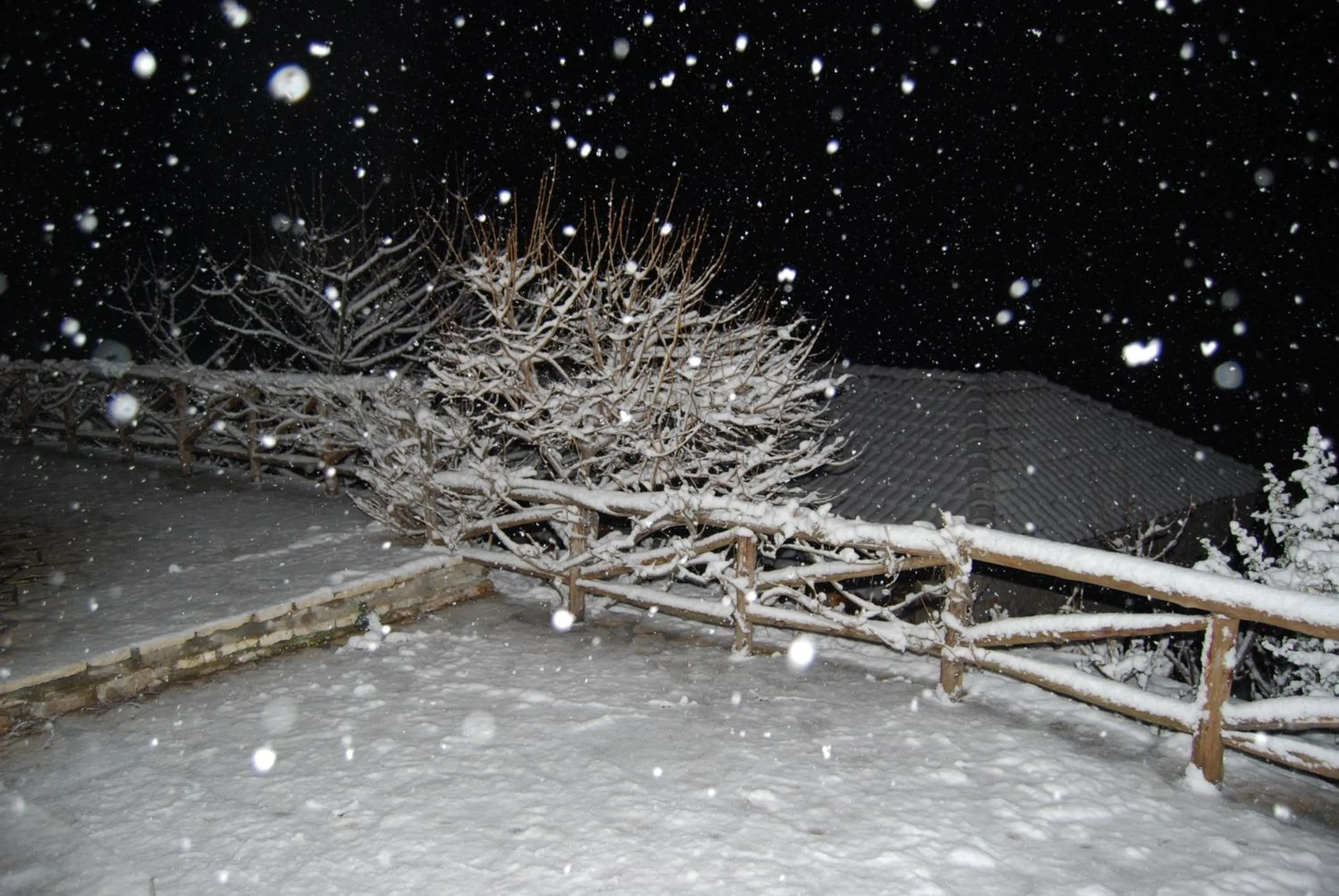 Other in Dryades Guesthouse