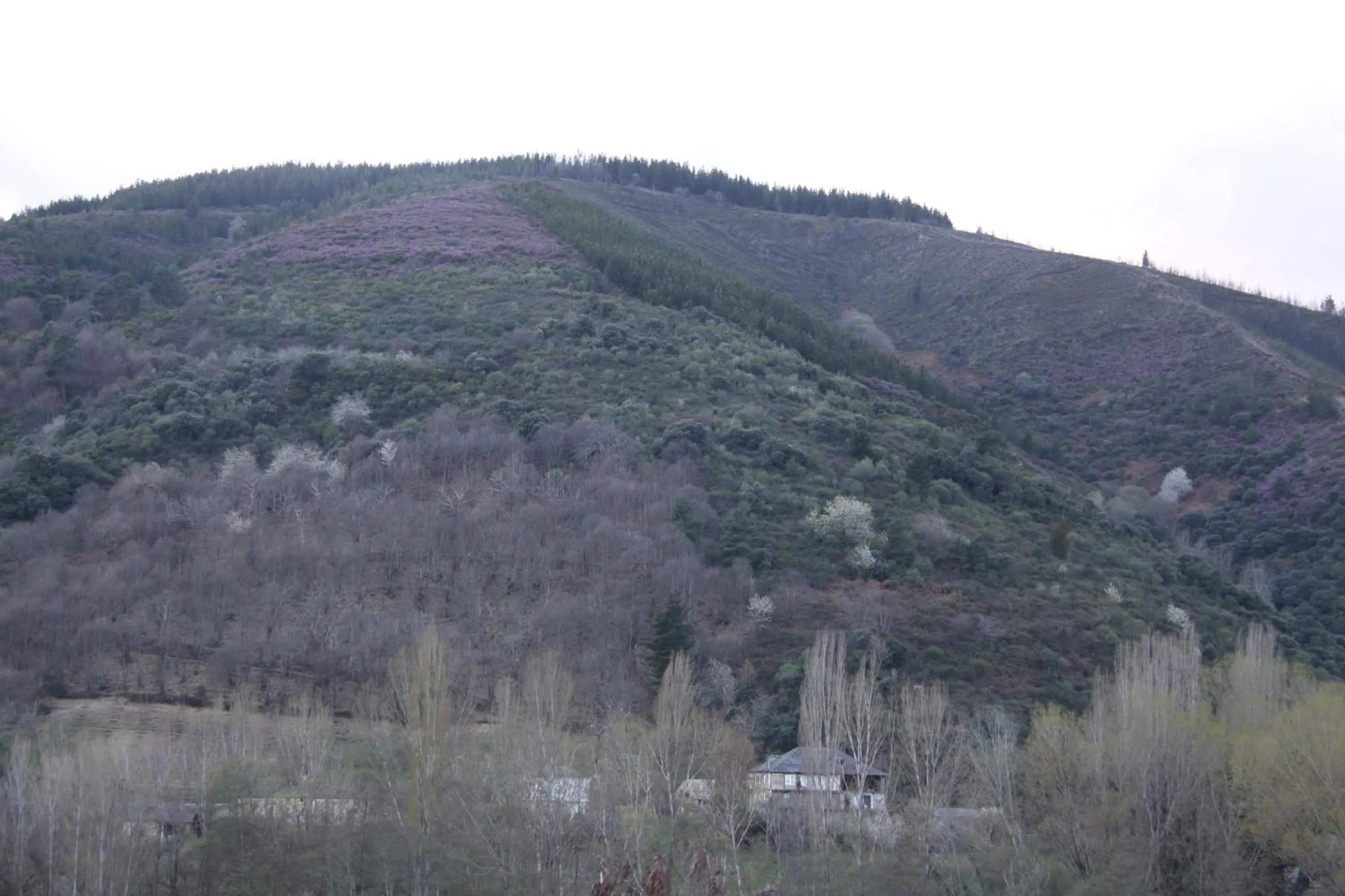 Natural landscape in Venecia Bed&Breakfast