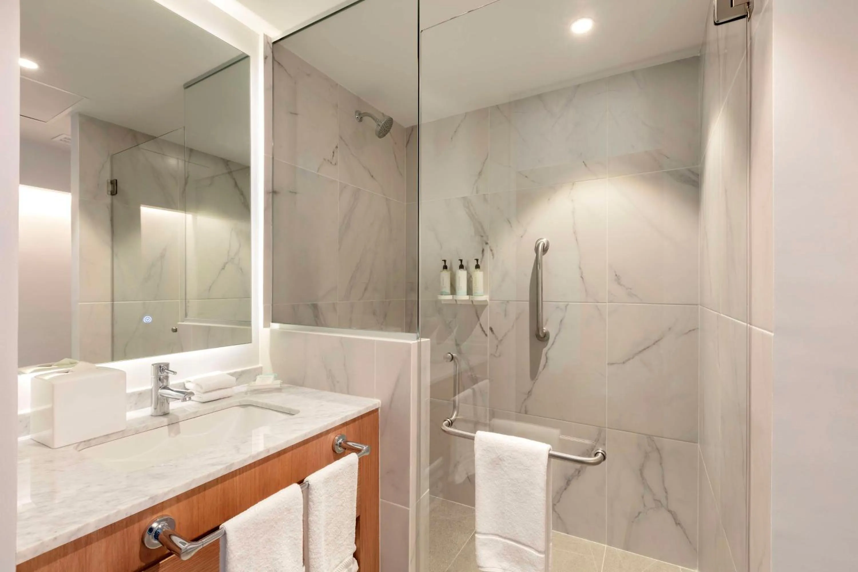 Bathroom in Hilton Garden Inn Guadalajara Airport