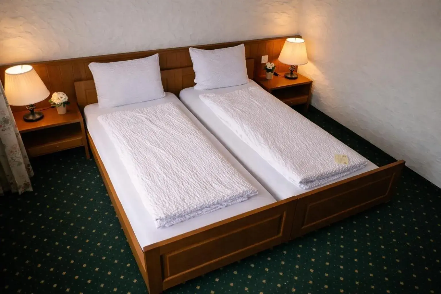 Double Room - single occupancy in Hotel guter Hirte Double Room - single occupancy in Hotel guter Hirte