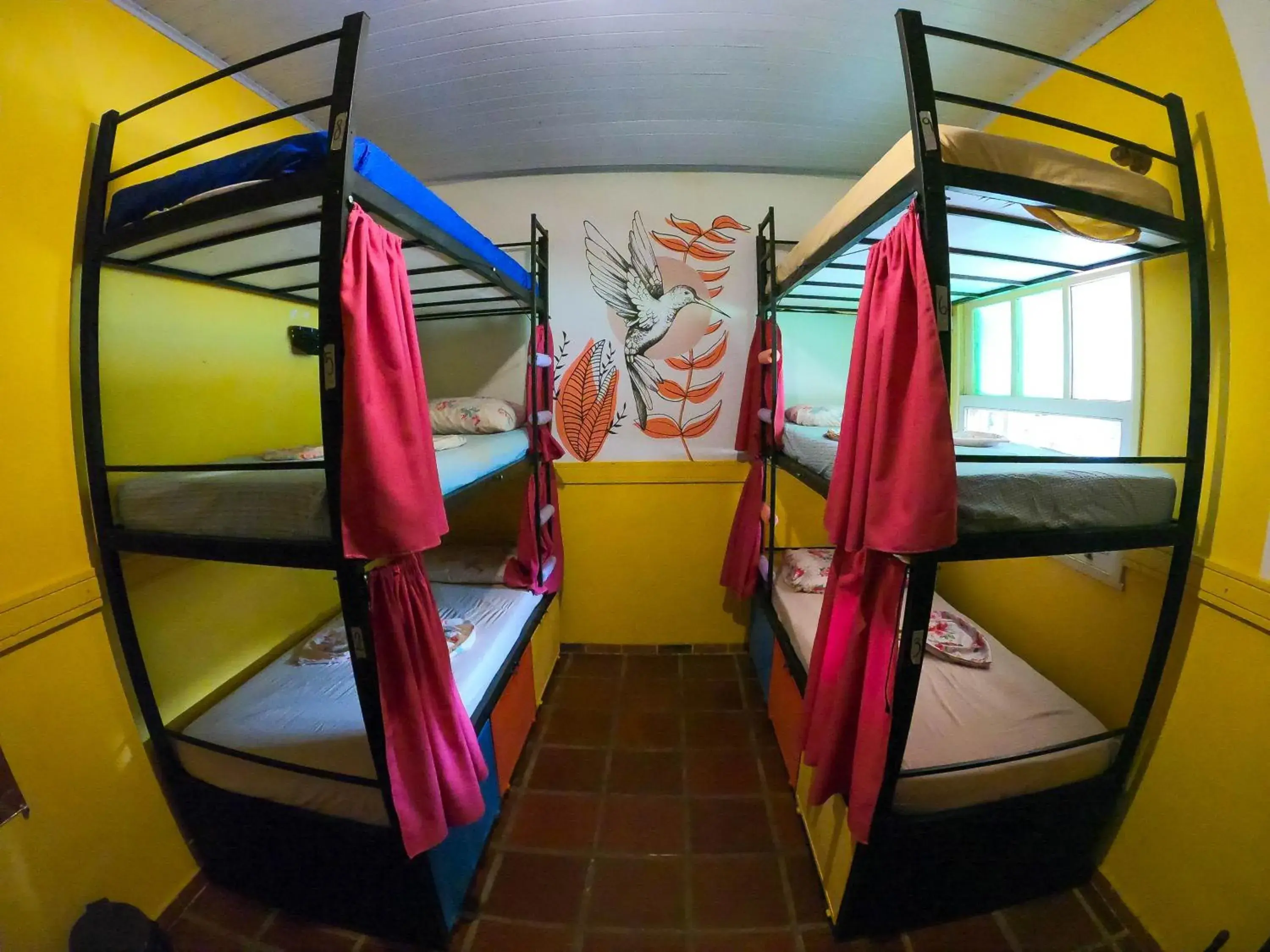 Bunk Bed in Female Dormitory Room in Solar Hostel Búzios Bunk Bed in Female Dormitory Room in Solar Hostel Búzios