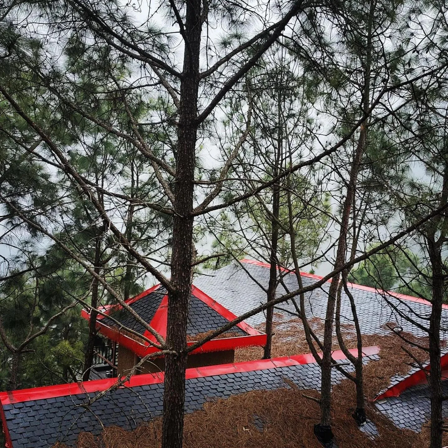 View (from property/room) in Chillaru Spa & Resort