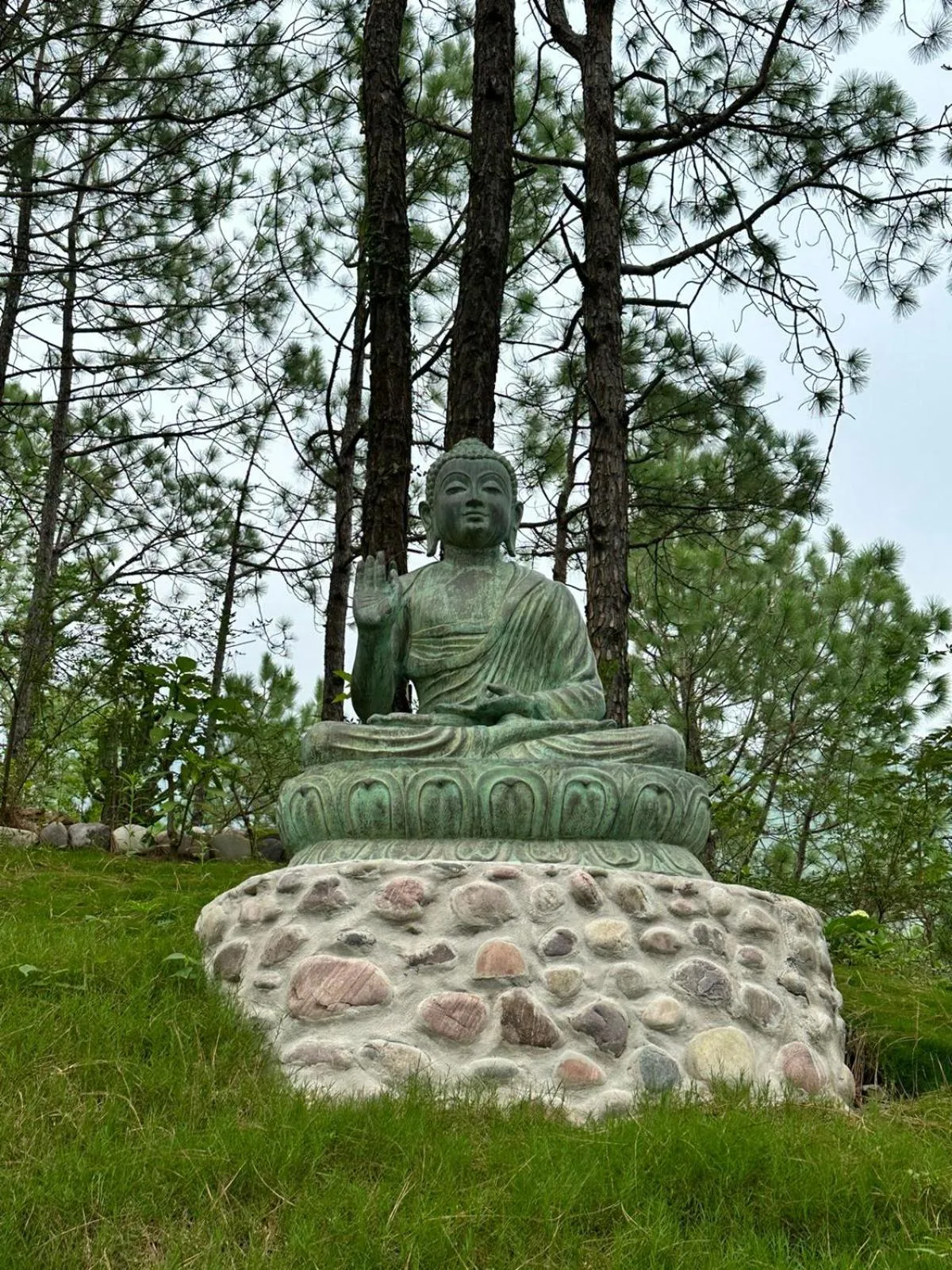 View (from property/room) in Chillaru Spa & Resort