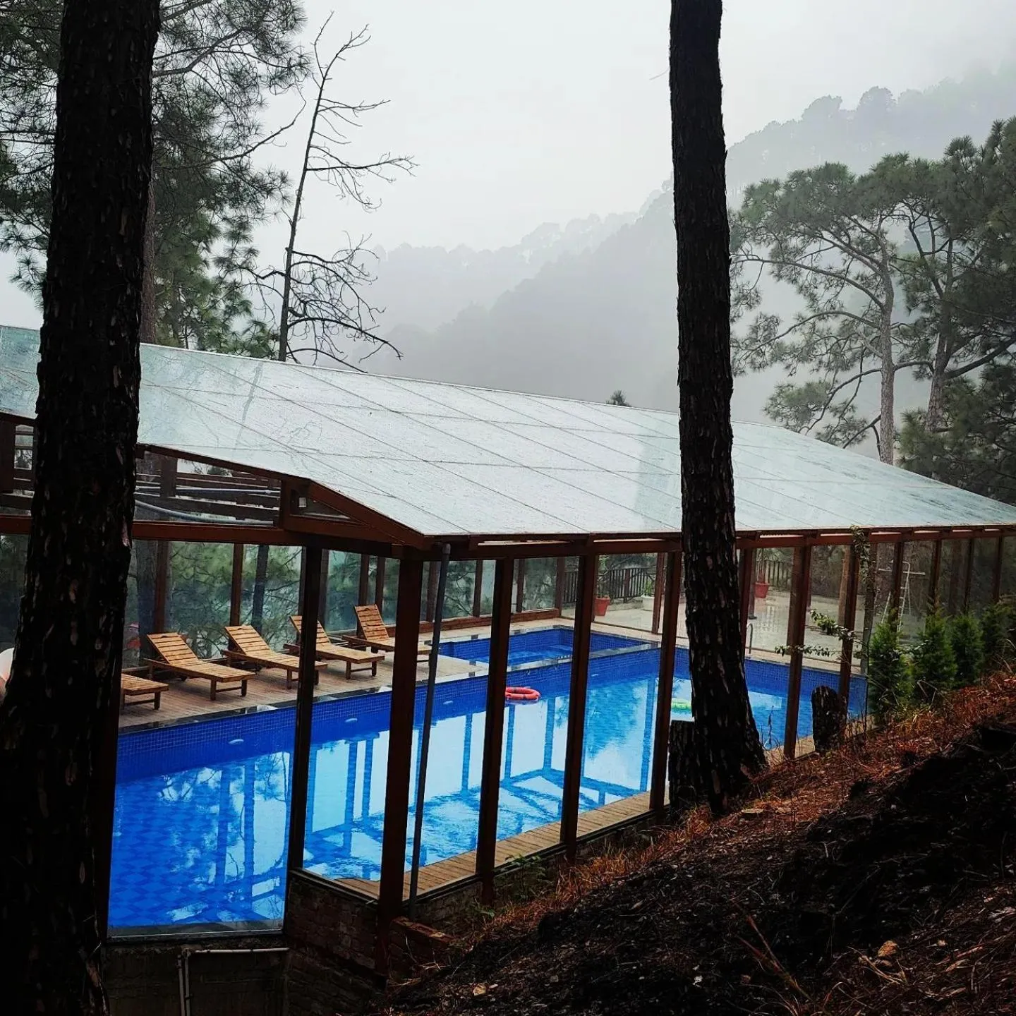 Swimming pool in Chillaru Spa & Resort