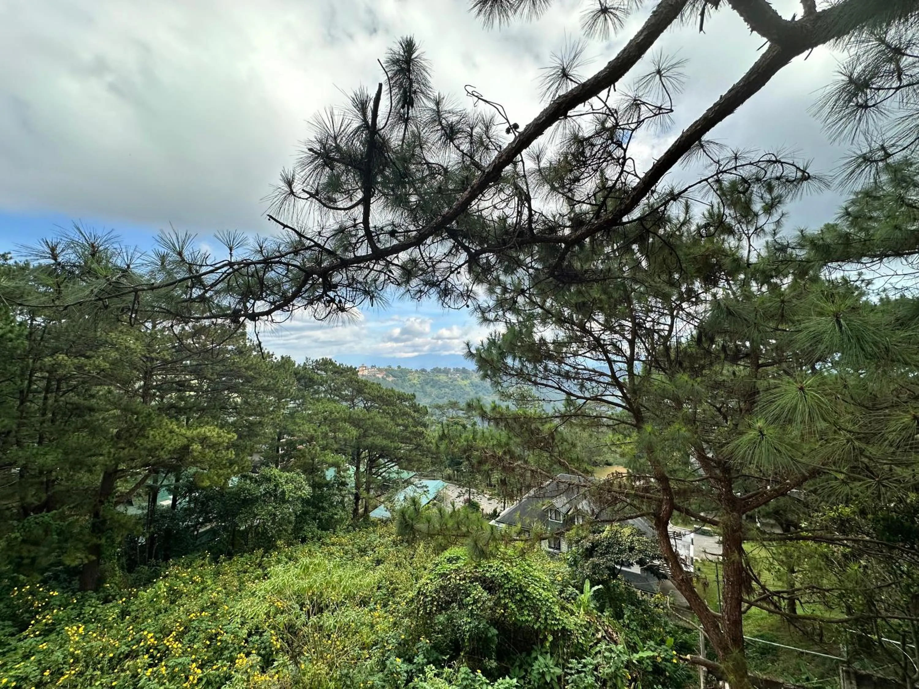 Natural landscape in Lee Boutique Hotel Baguio