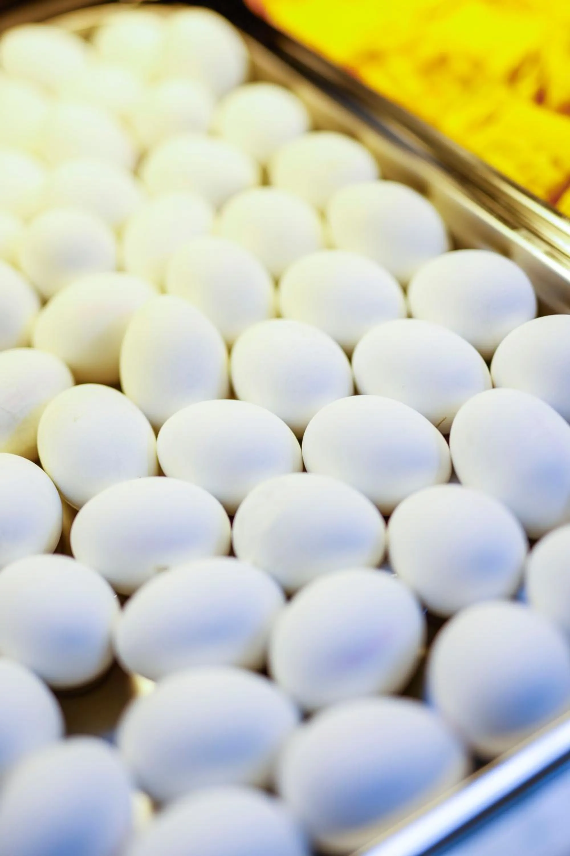 Breakfast in Sleephotels Cosmos