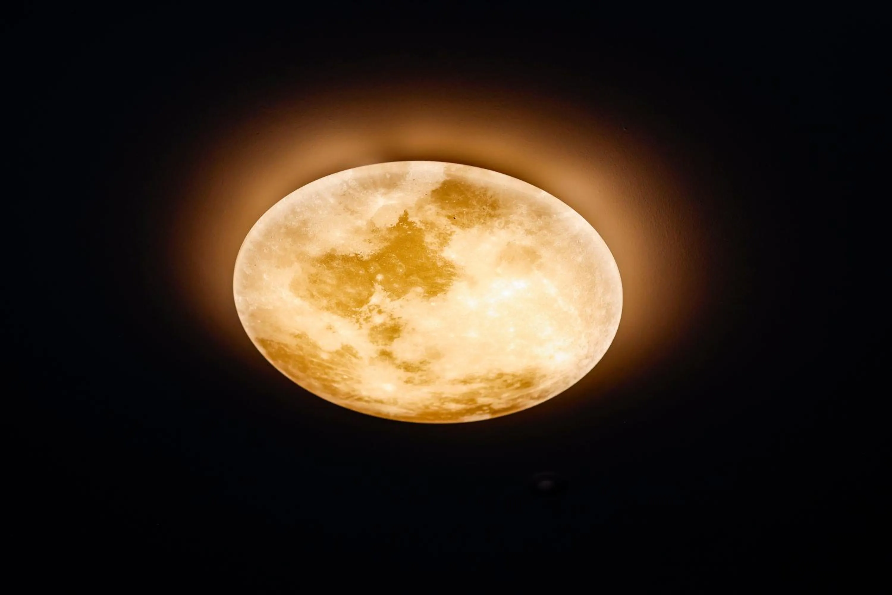 Decorative detail in Sleephotels Cosmos