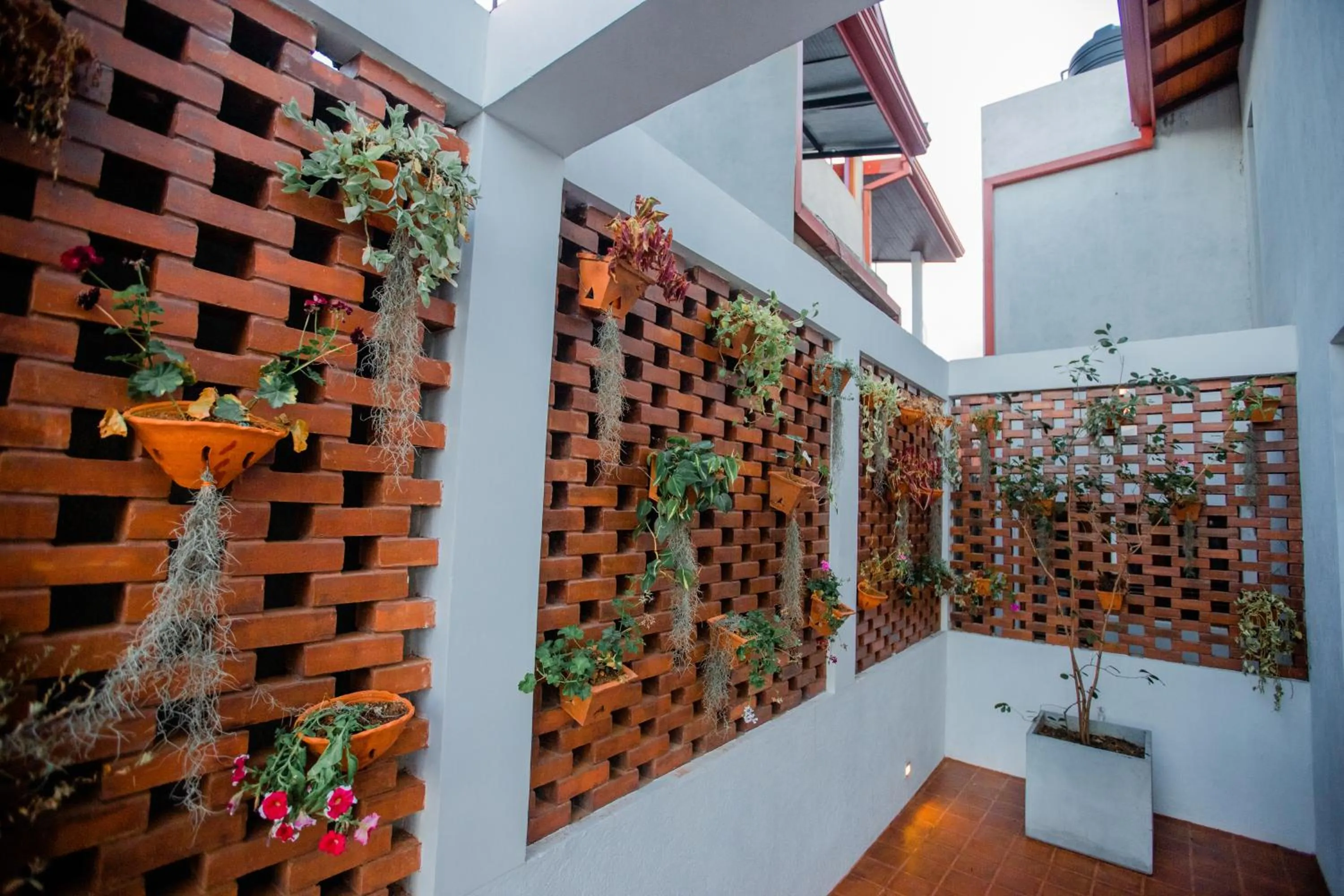 Garden in Golden Shower Inn