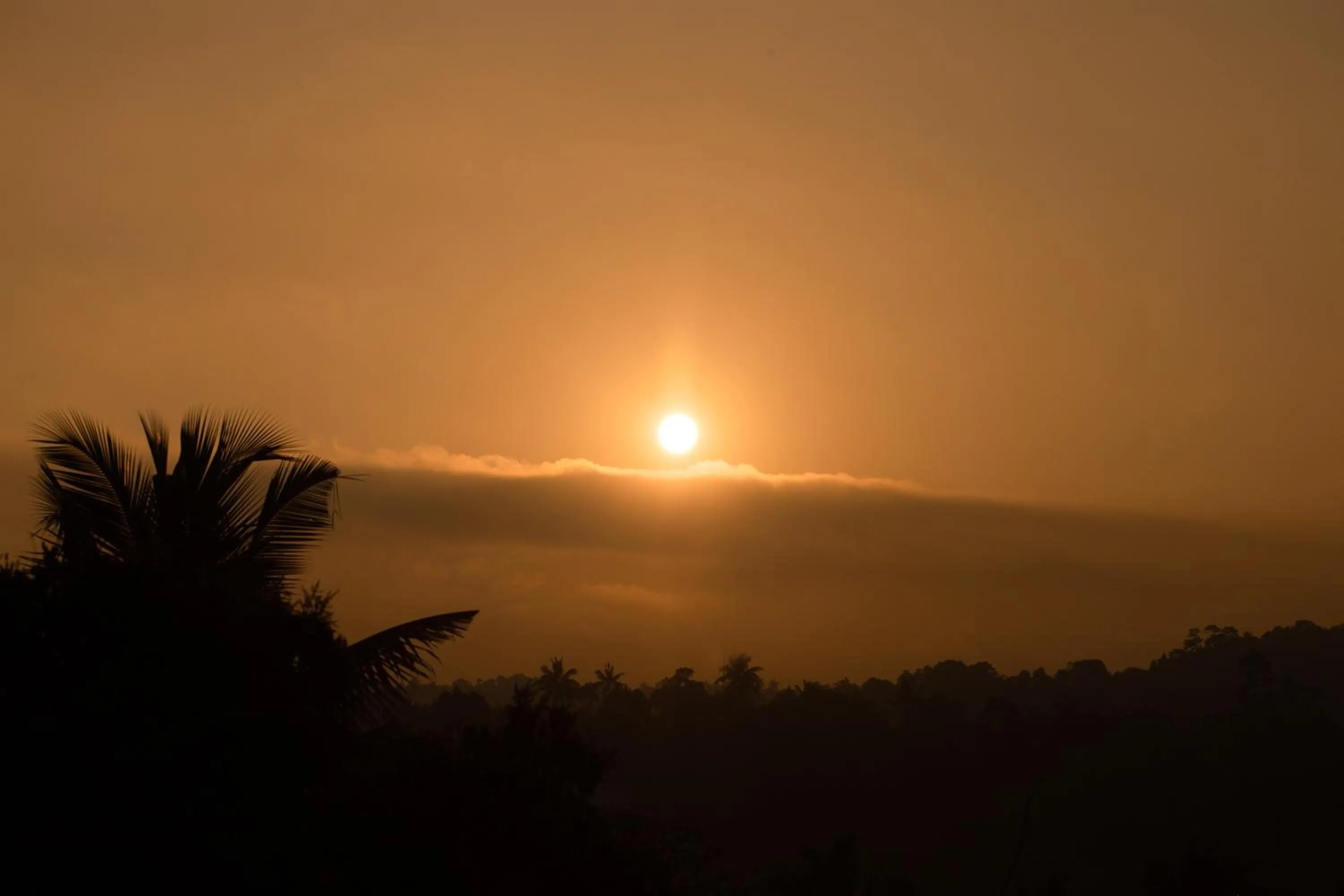 Sunrise in Golden Shower Inn