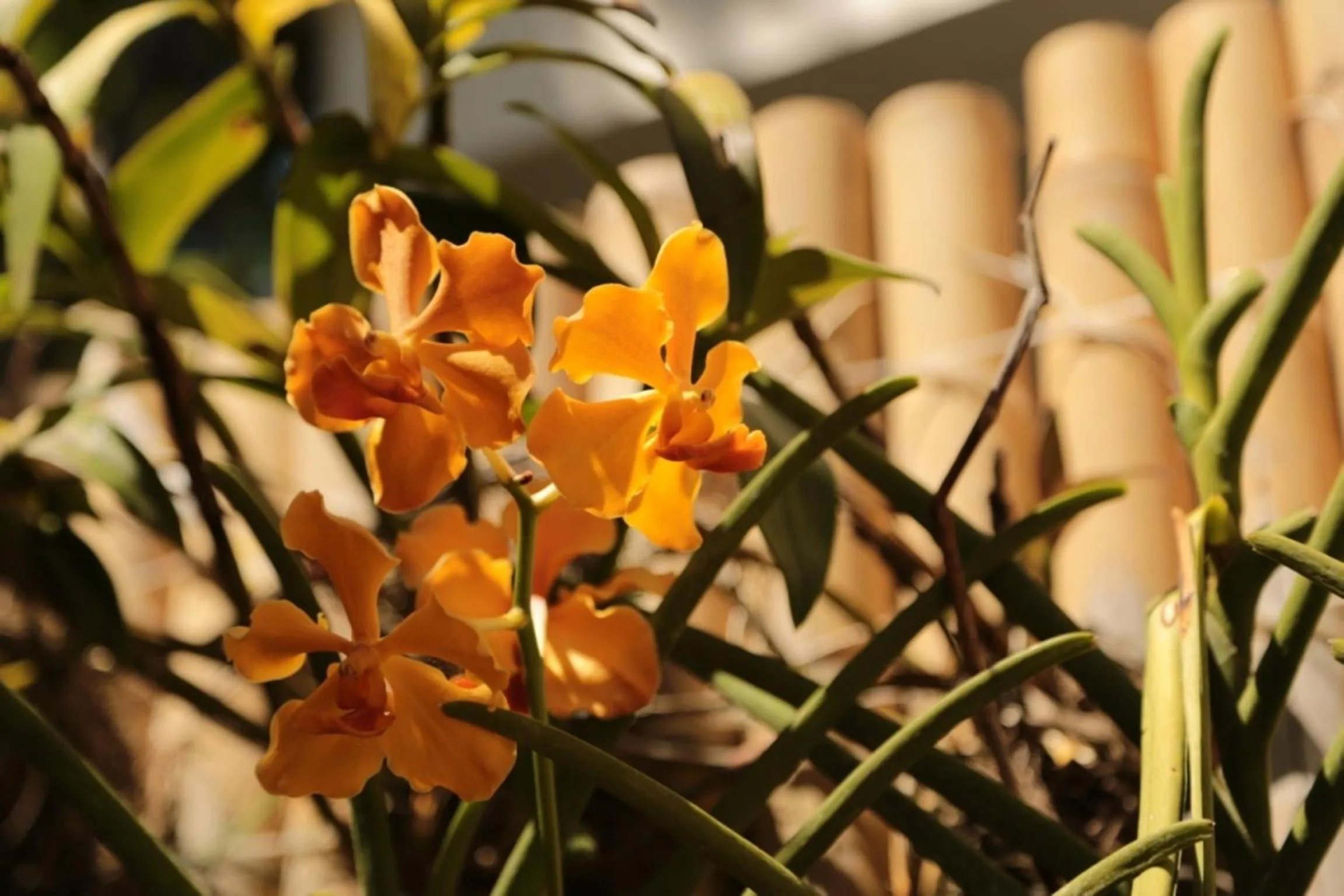 Other in One Crescent Place Hotel