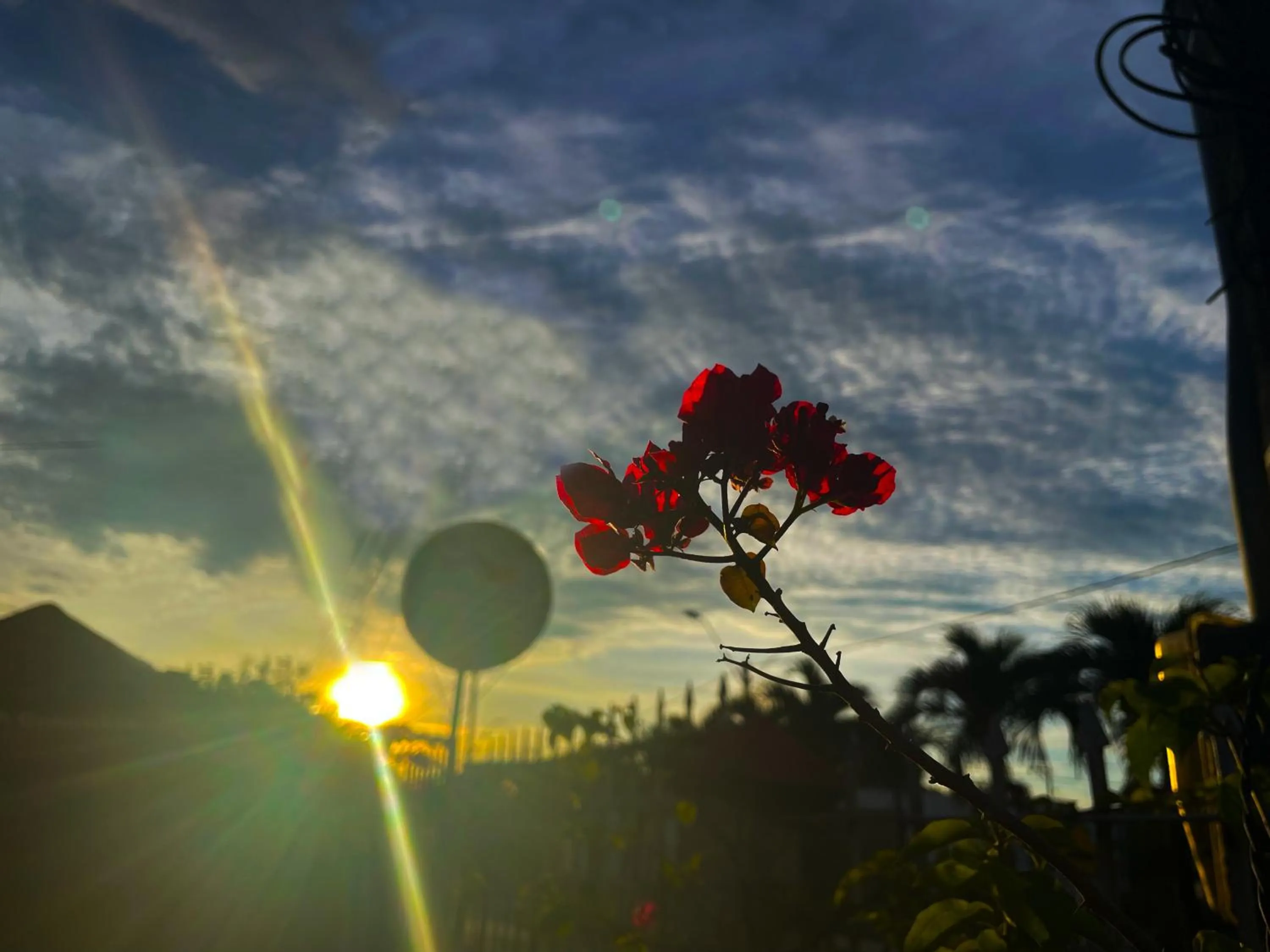 Garden in Casa hotel Mateguadua