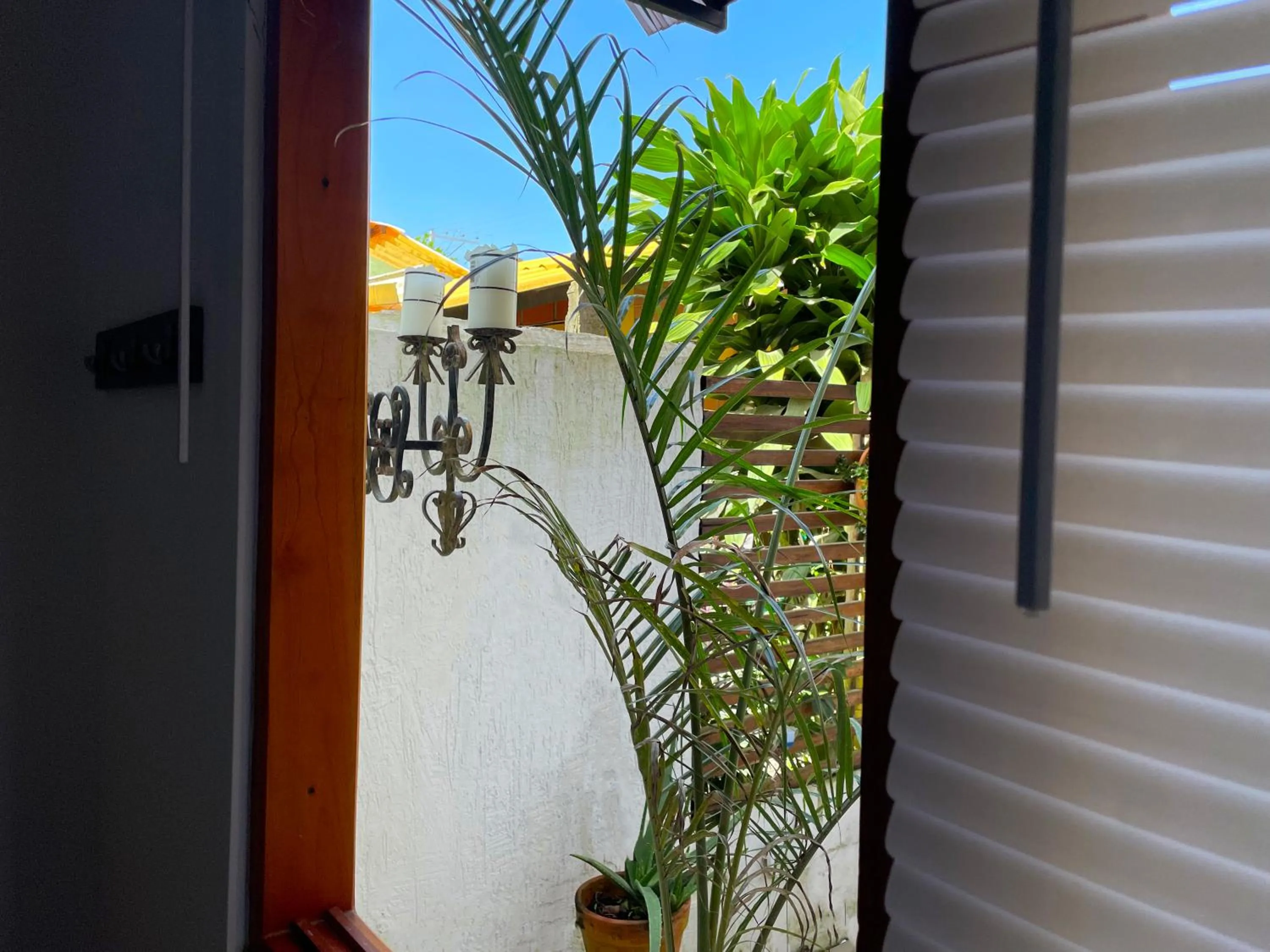 Garden in Casa hotel Mateguadua