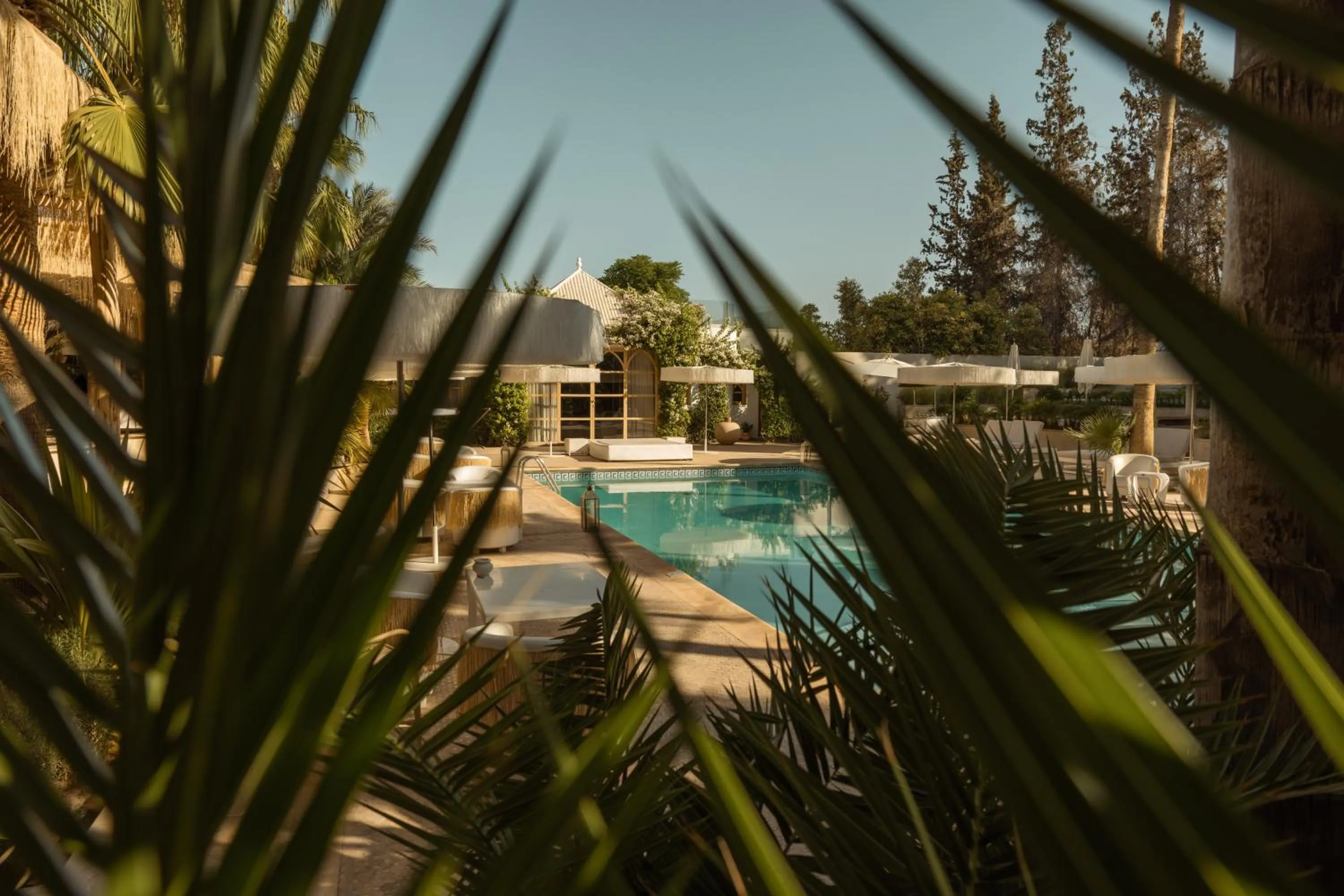 Garden view in Les Palmiers Boutique Hôtel & Spa