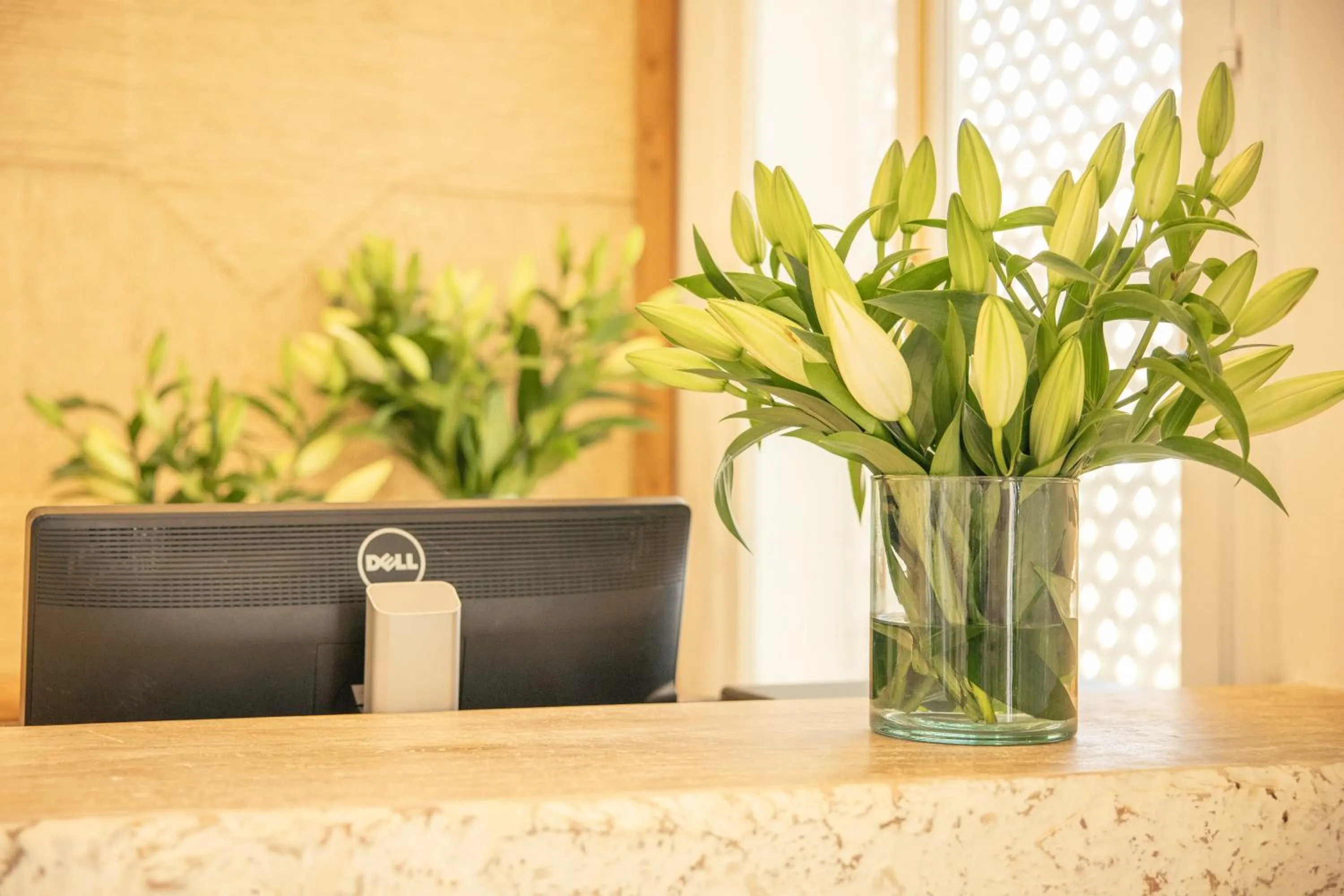 Lobby or reception in Les Palmiers Boutique Hôtel & Spa