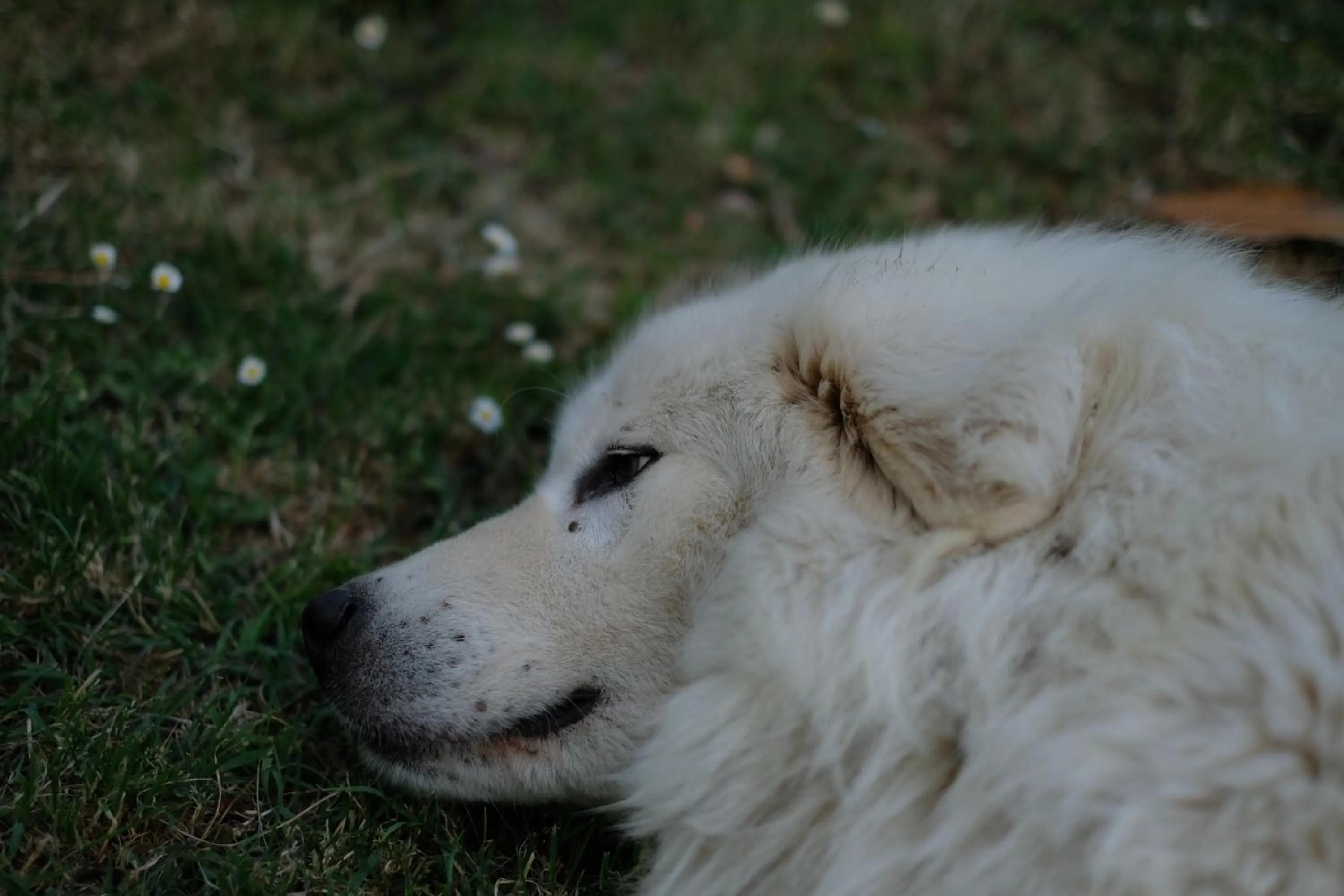 Casa Monteluro - B&b