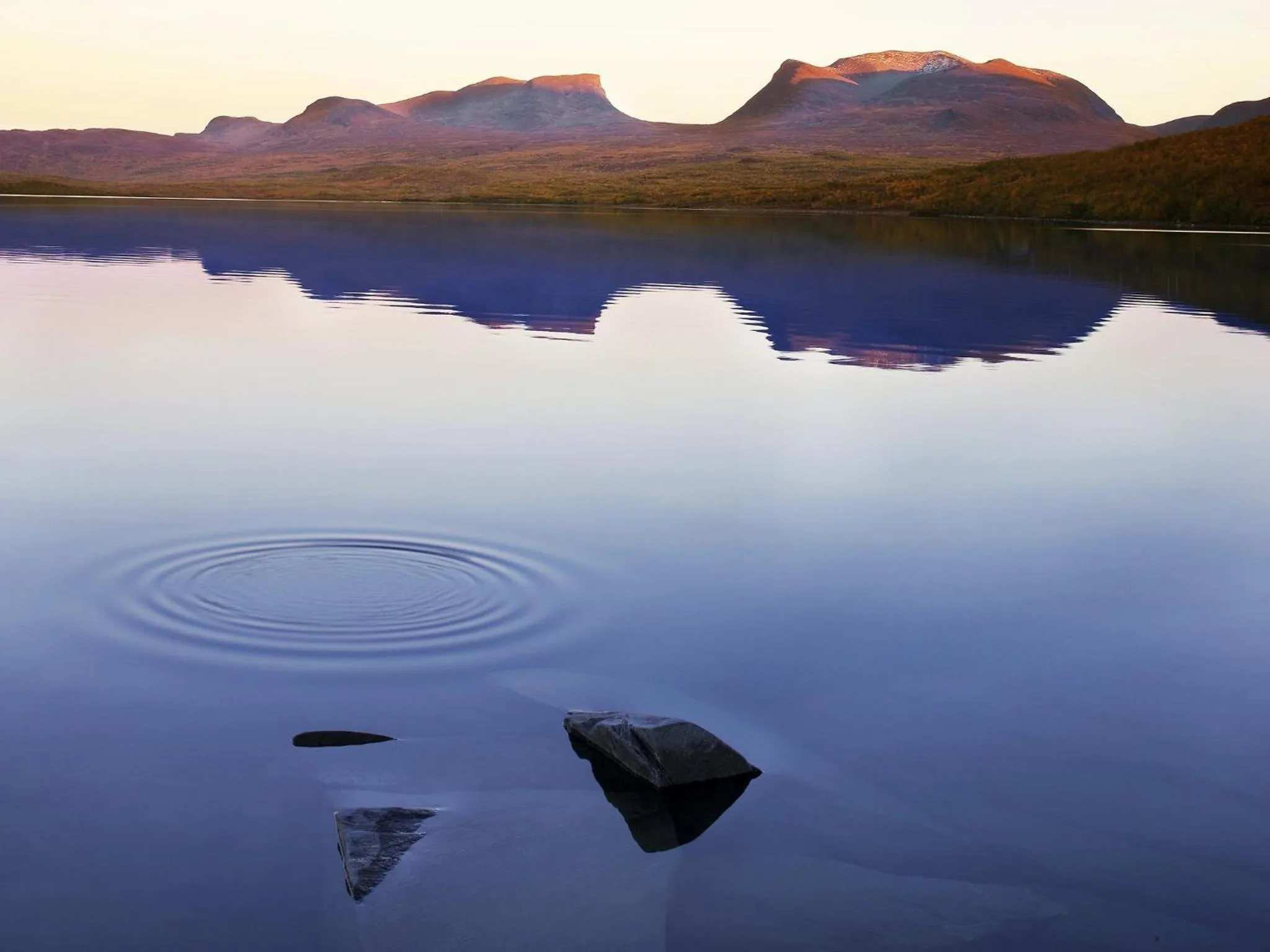 Area and facilities in Hotell Fjället