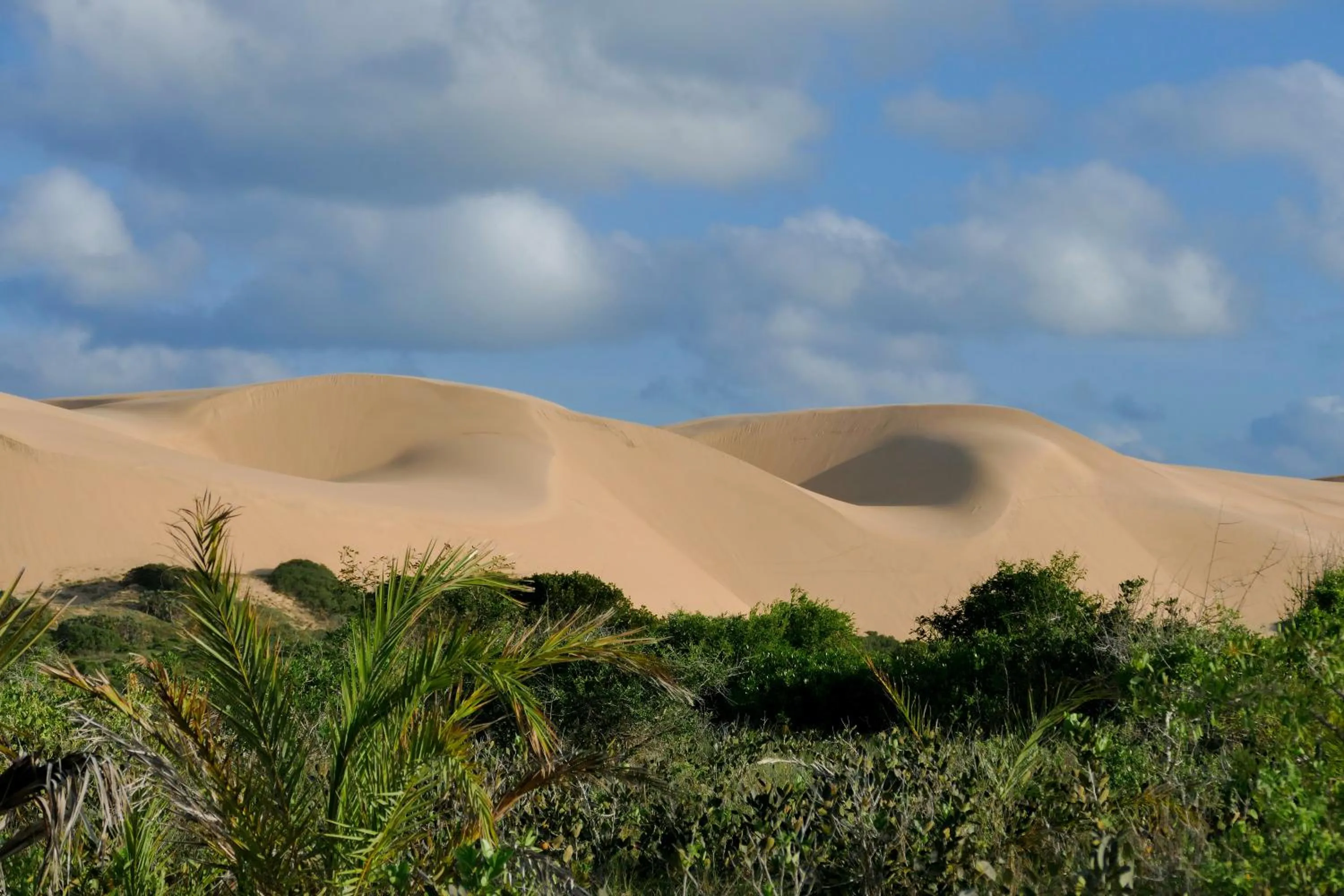 Day in Anantara Bazaruto Island Resort