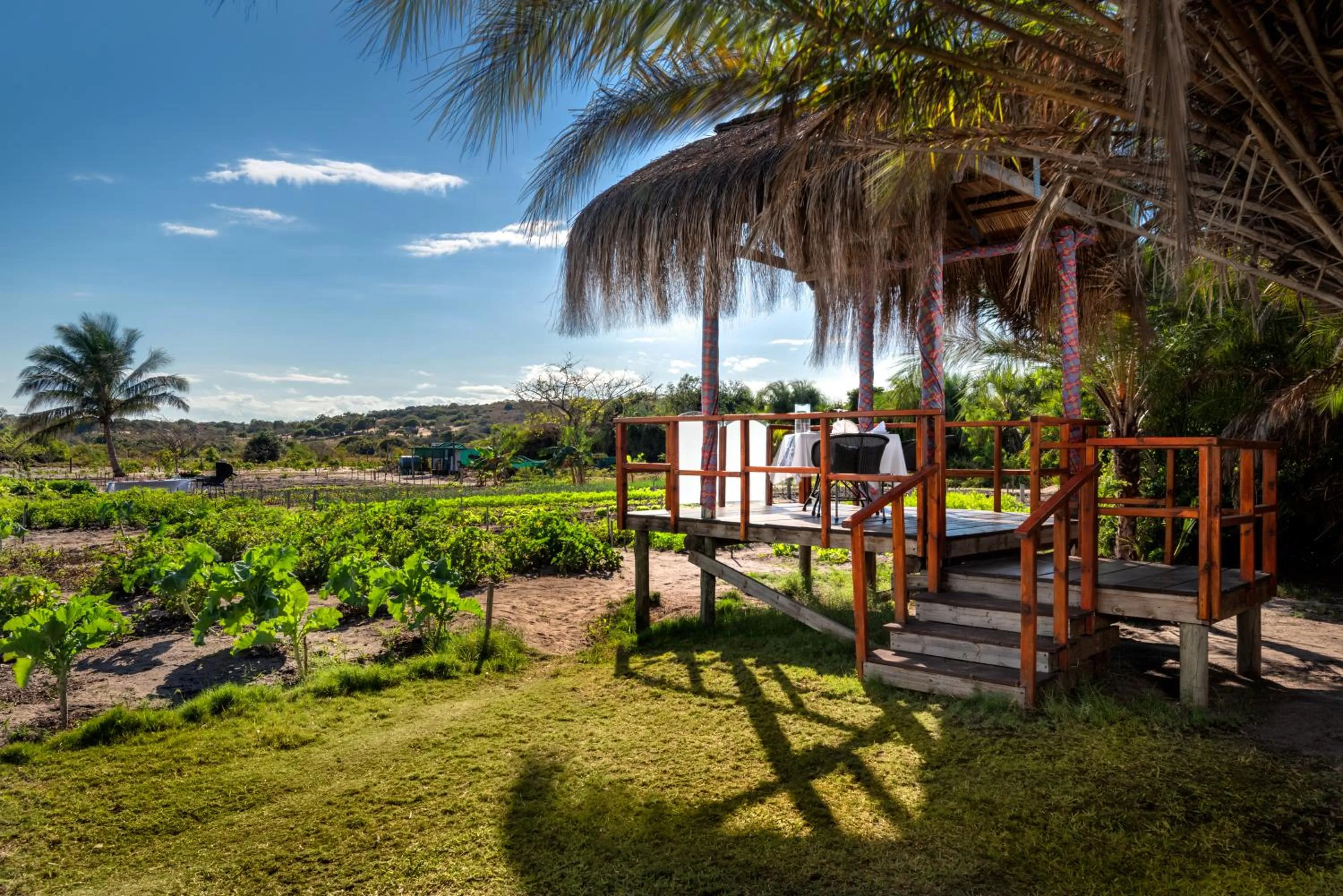 Natural landscape in Anantara Bazaruto Island Resort