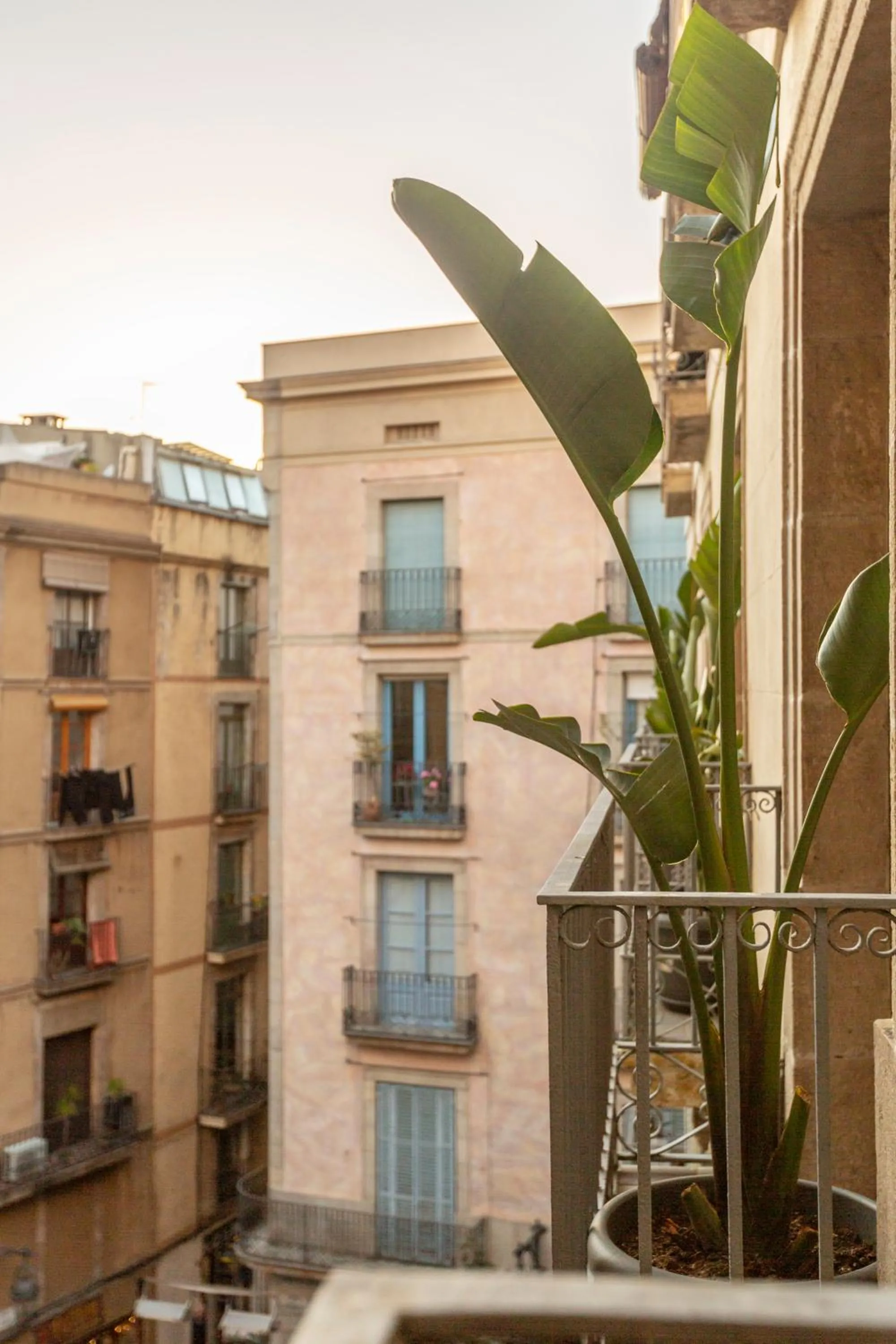 Property building in Hostal Sol y K