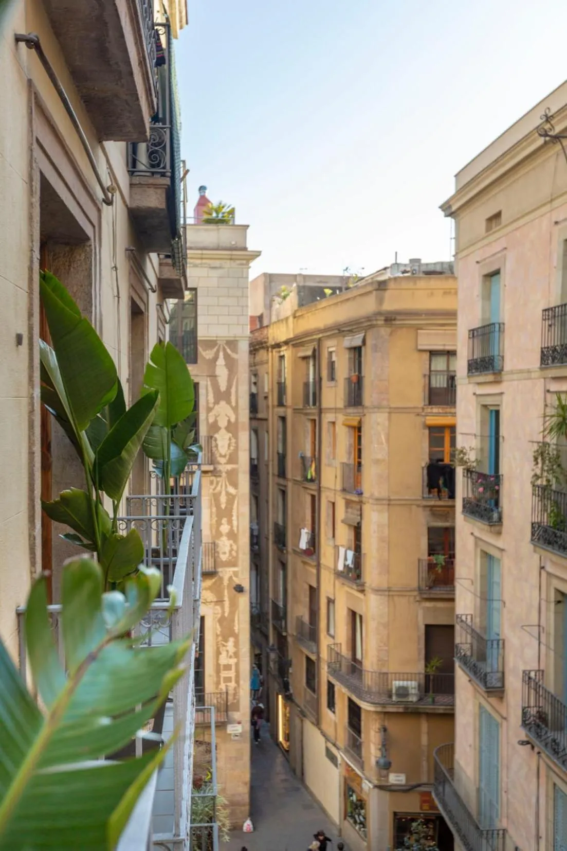 Property building in Hostal Sol y K