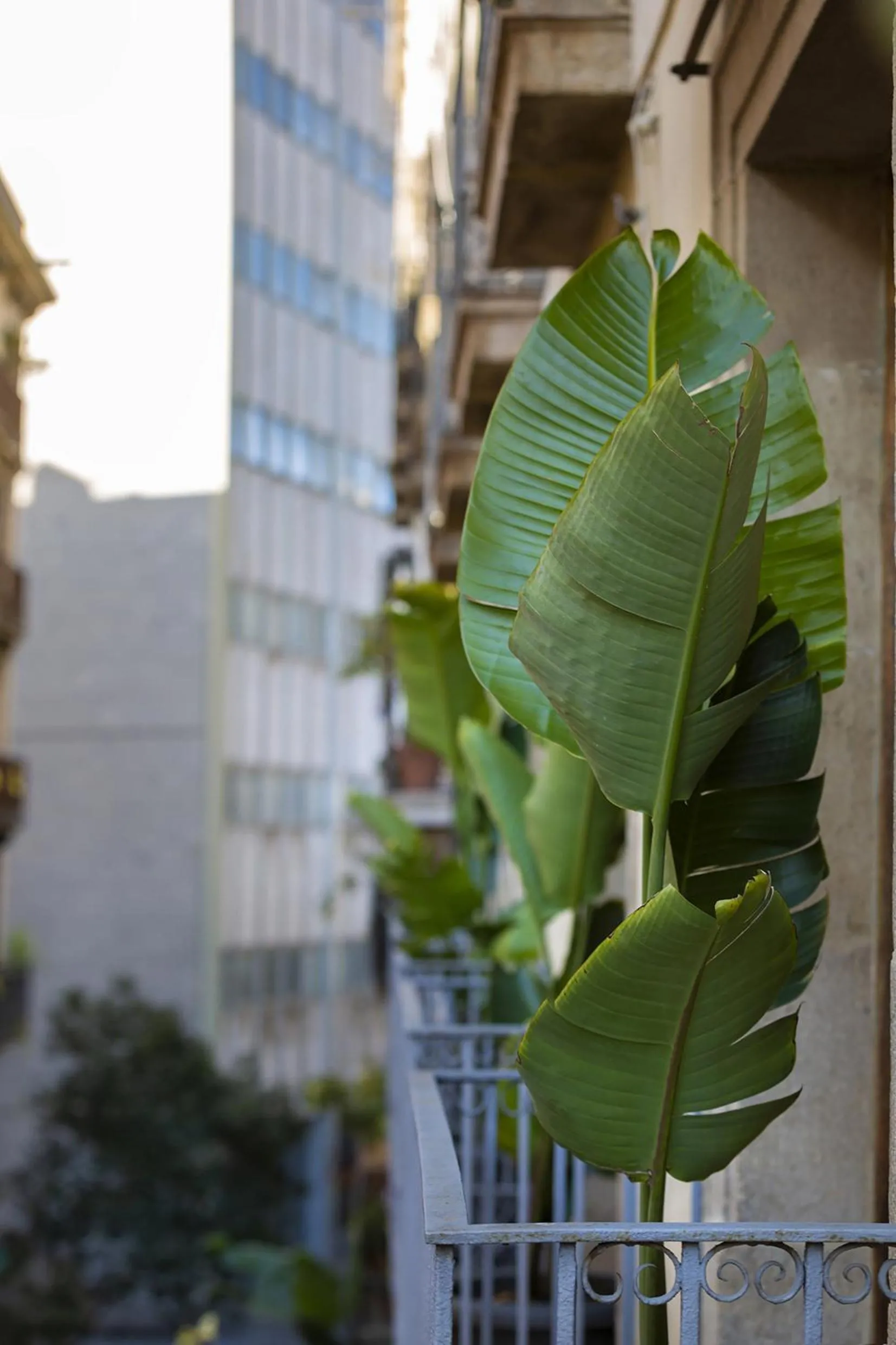 Property building in Hostal Sol y K