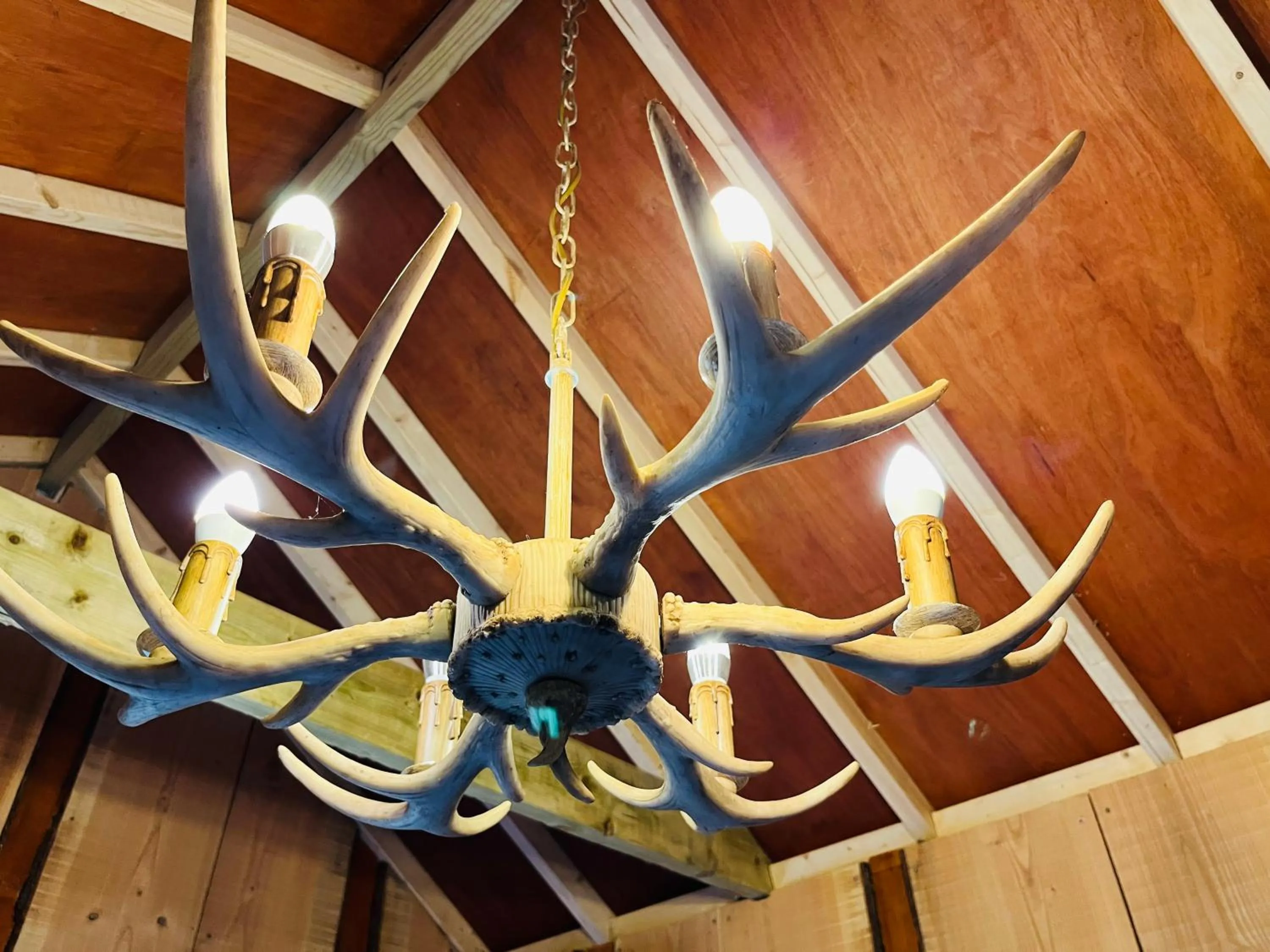 Wall Eden Farm - Luxury Log Cabins and Glamping