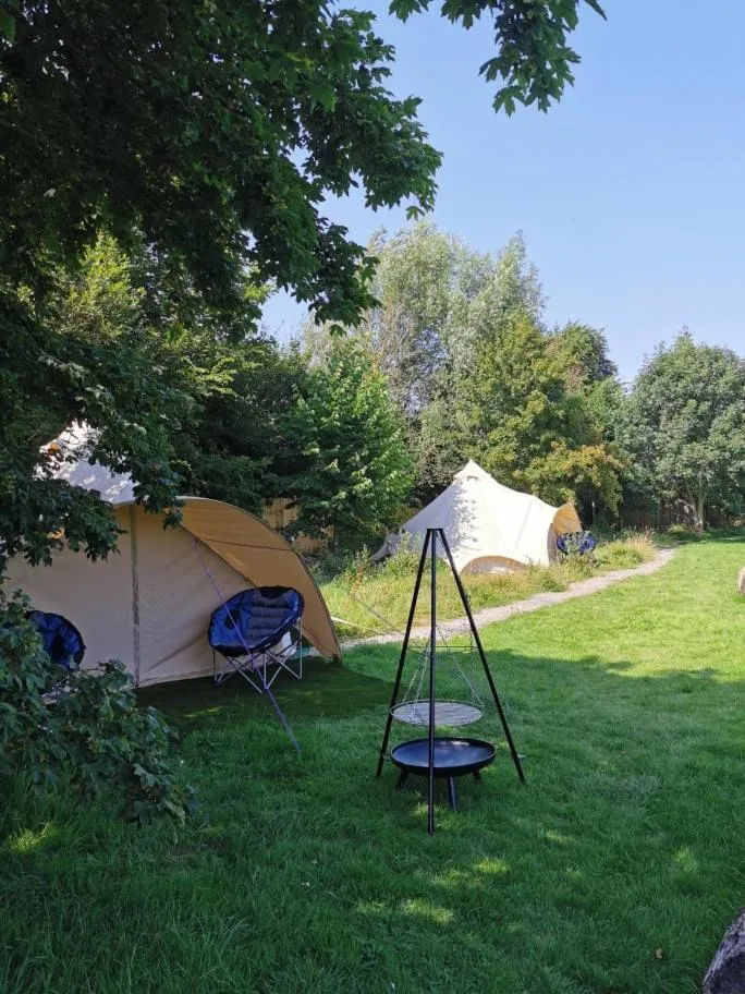 Natural landscape in Wall Eden Farm - Luxury Log Cabins and Glamping