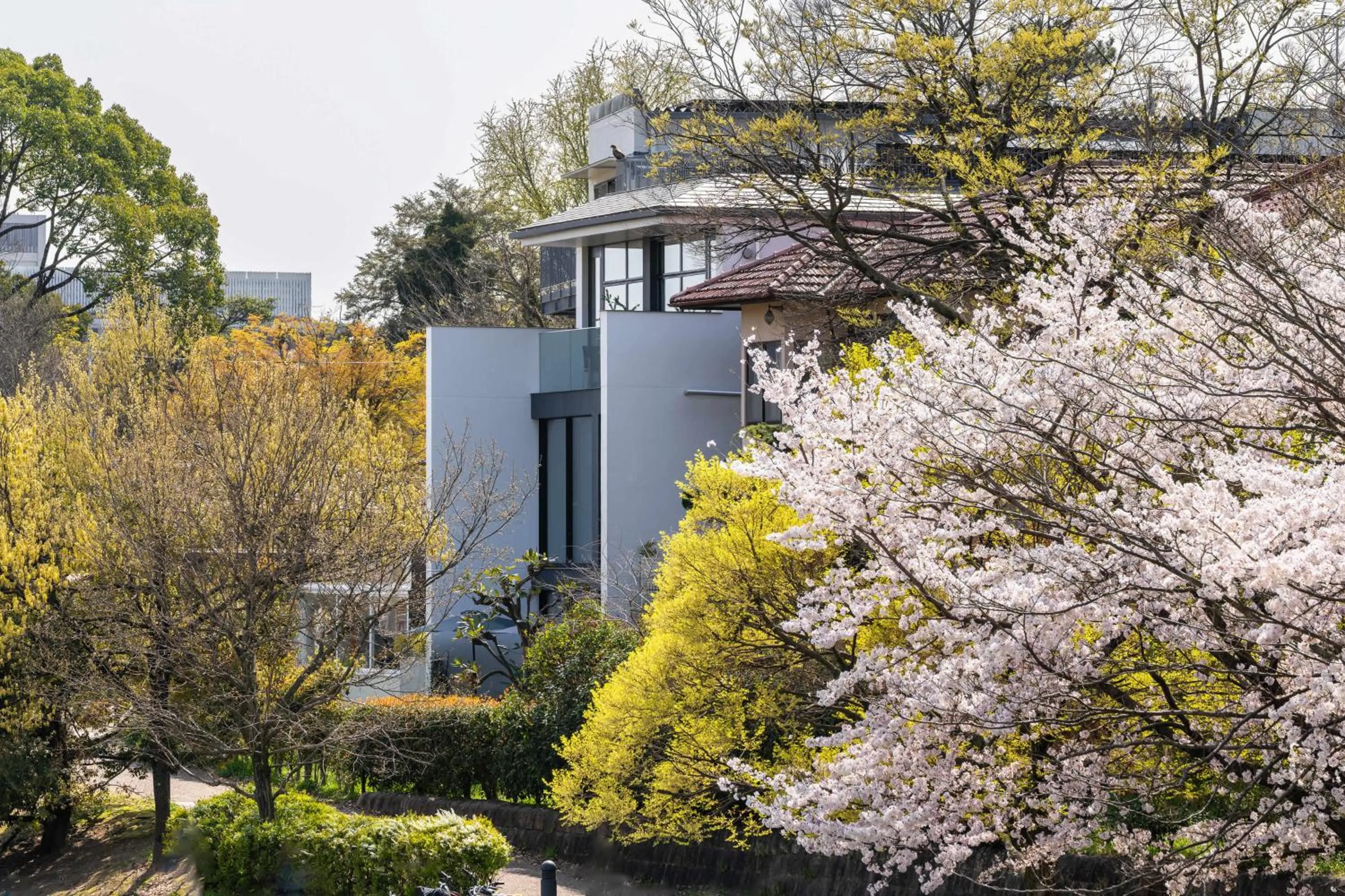 Property building in Kamo Residences by Reflections