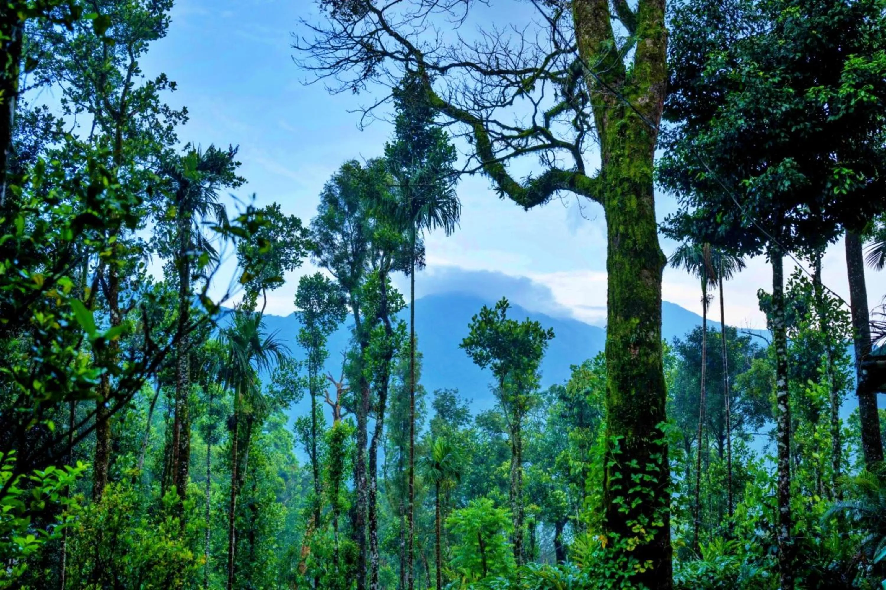 View (from property/room) in Blue Bells Resort By Maat Hotels