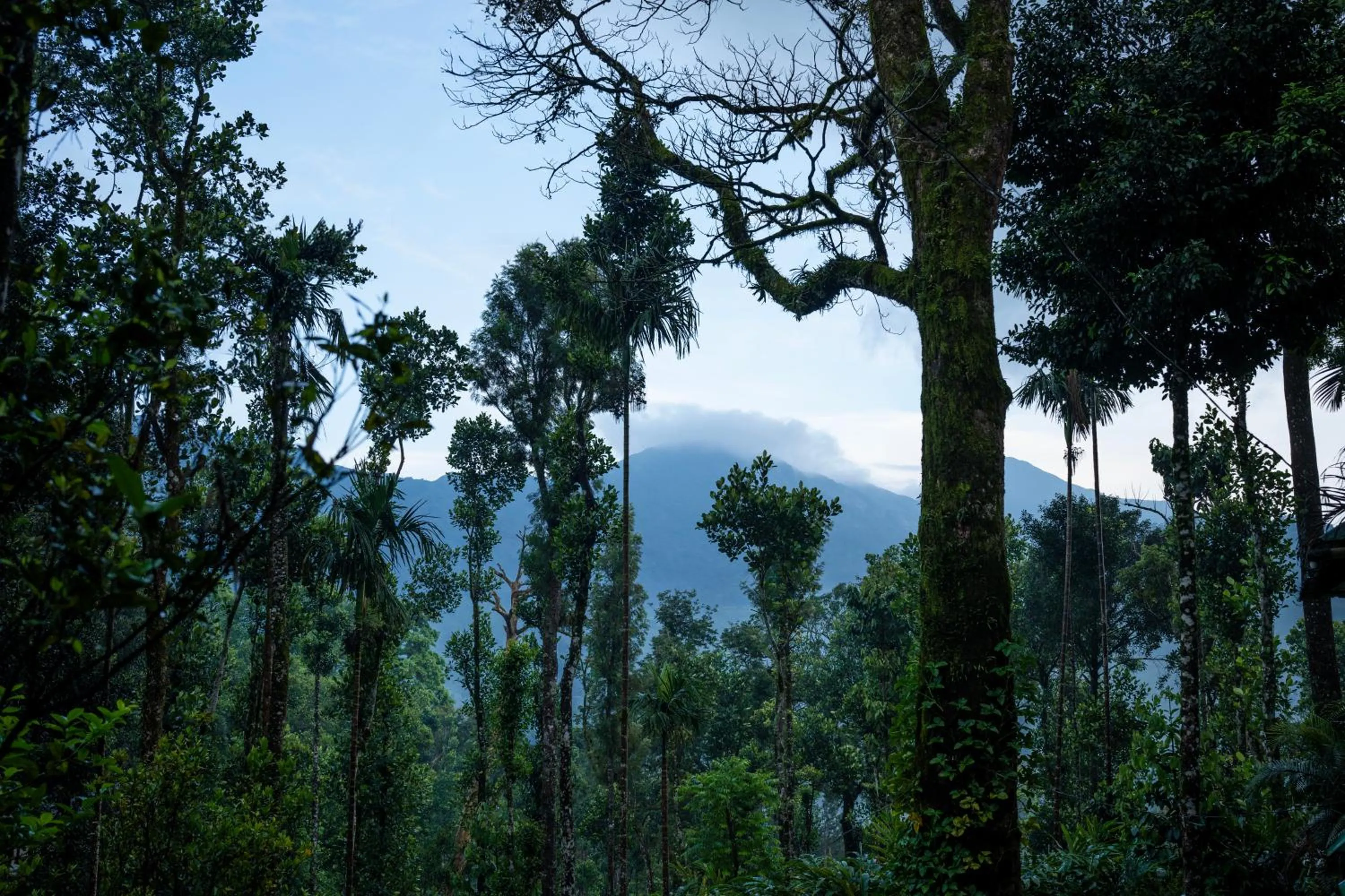 Day in Blue Bells Resort By Maat Hotels